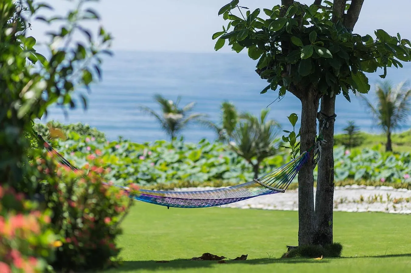 Sea view in Hai Yue Homestay