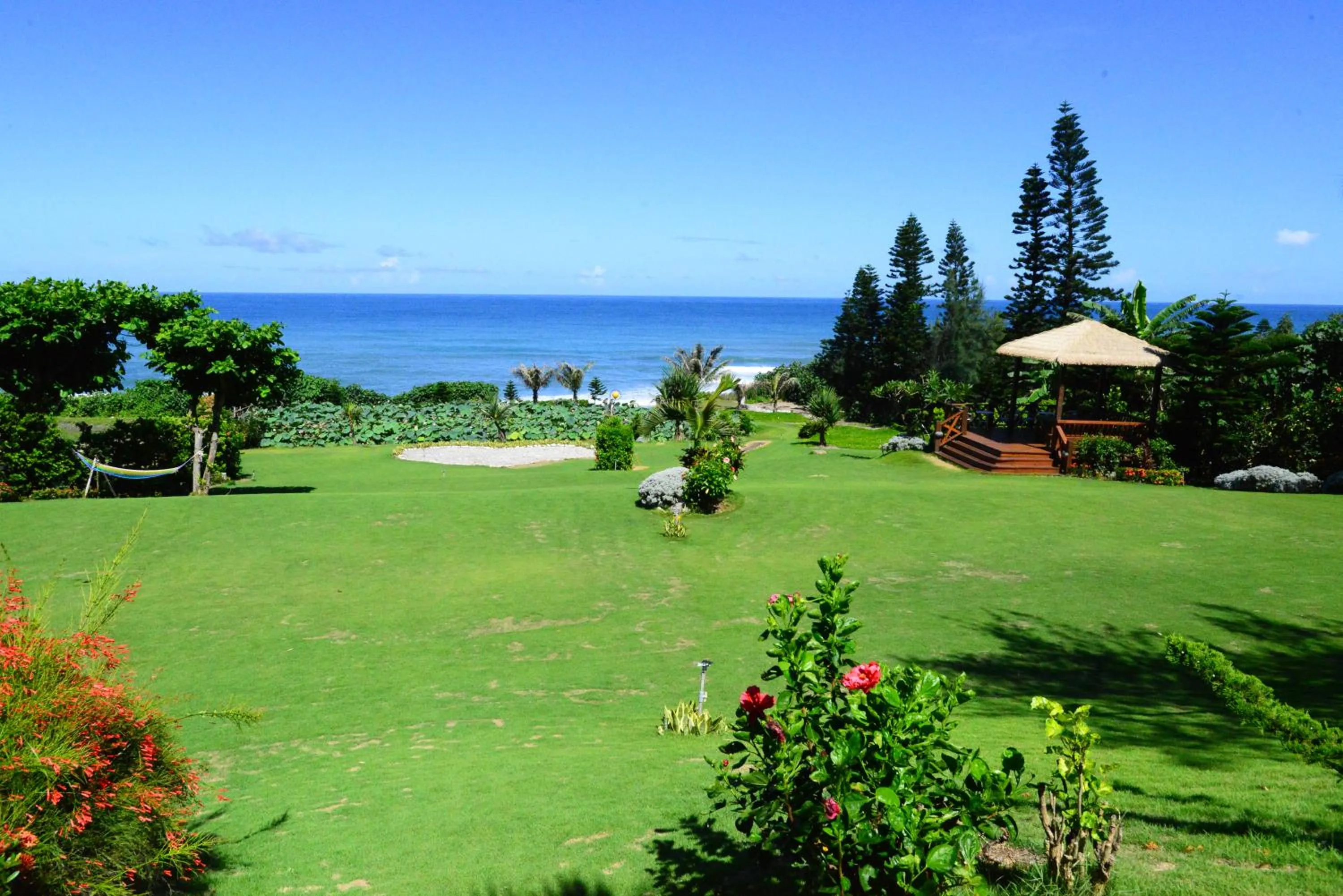 Garden in Hai Yue Homestay