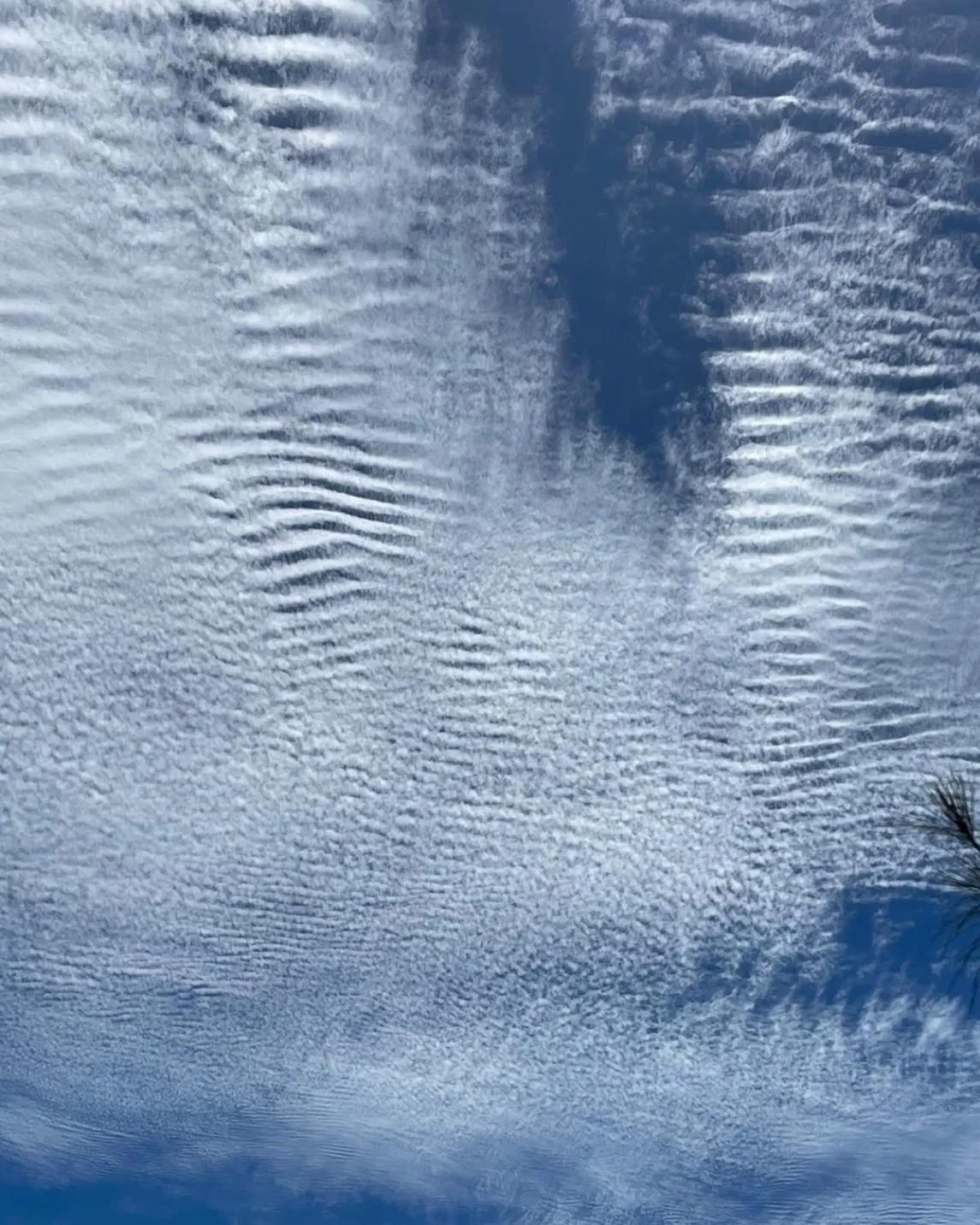 Property building in Hai Yue Homestay