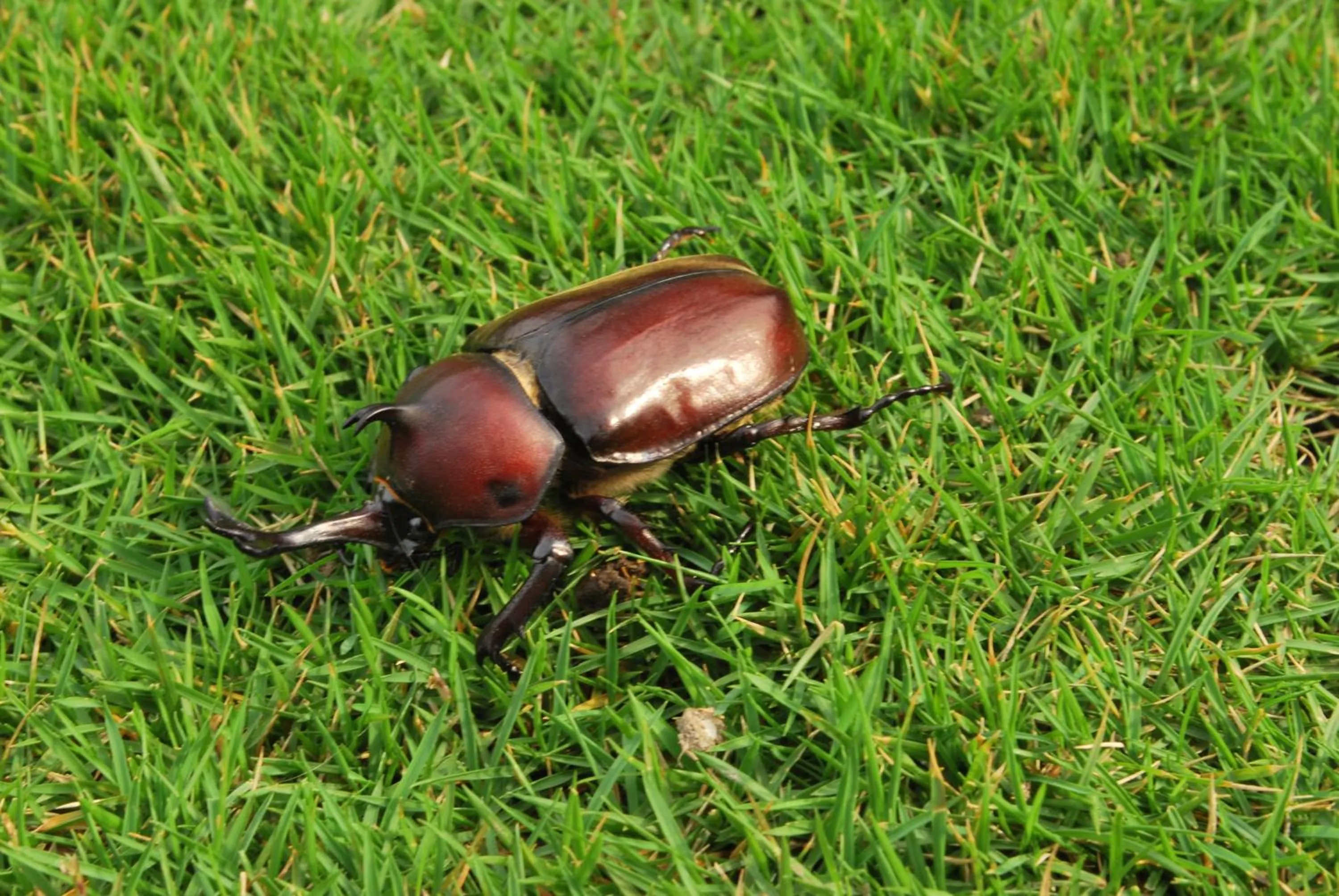 Spring in Hai Yue Homestay