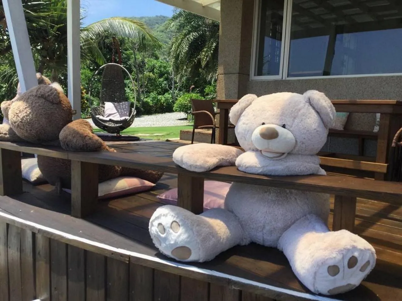 Day in Hai Yue Homestay