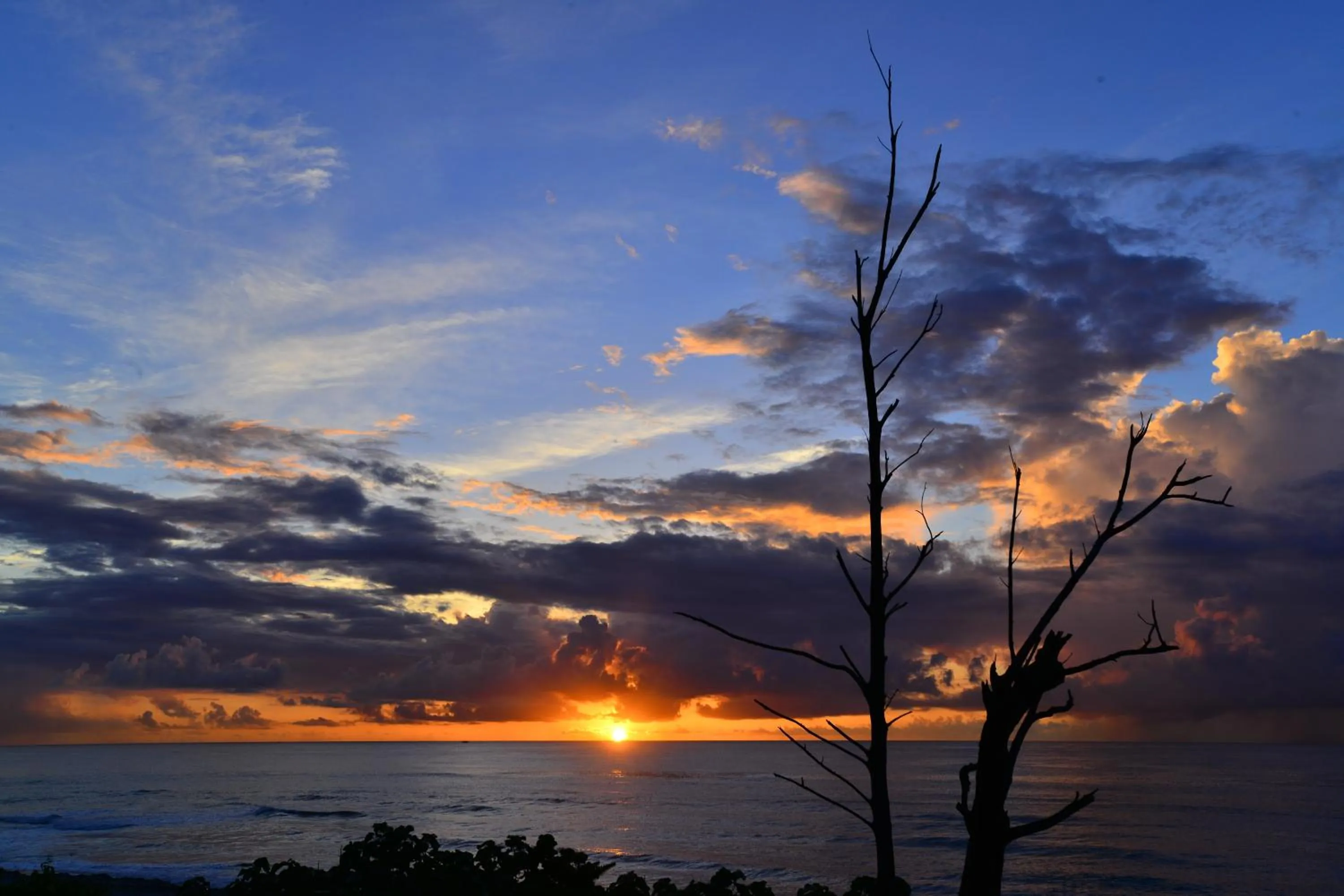 Natural landscape in Hai Yue Homestay