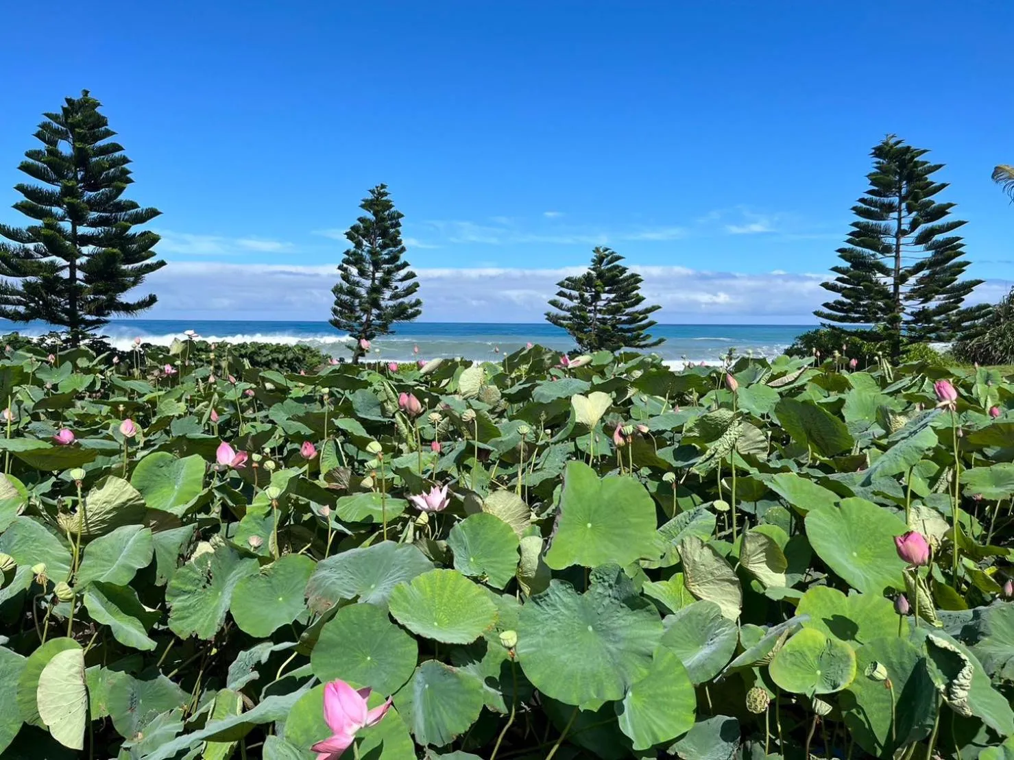 Property building in Hai Yue Homestay