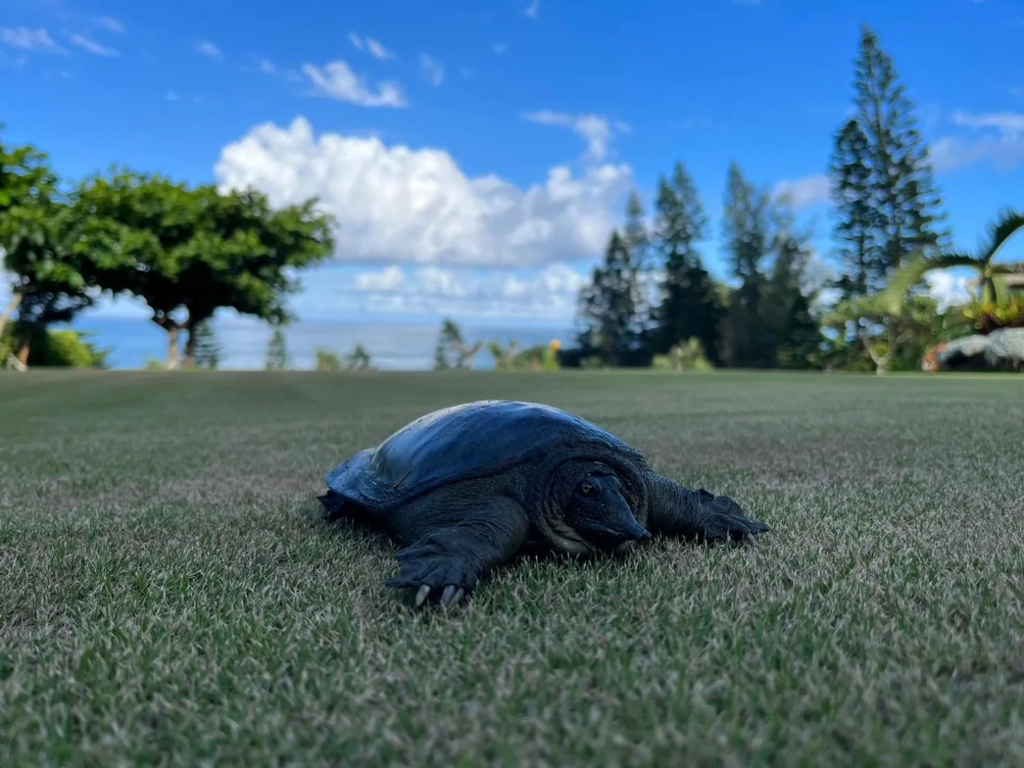 Property building in Hai Yue Homestay