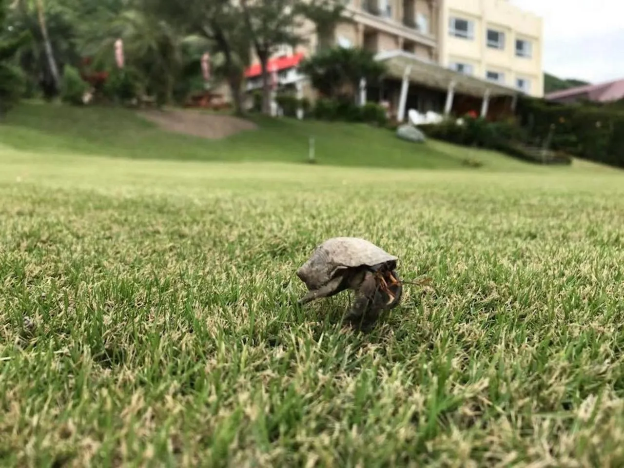 Spring in Hai Yue Homestay