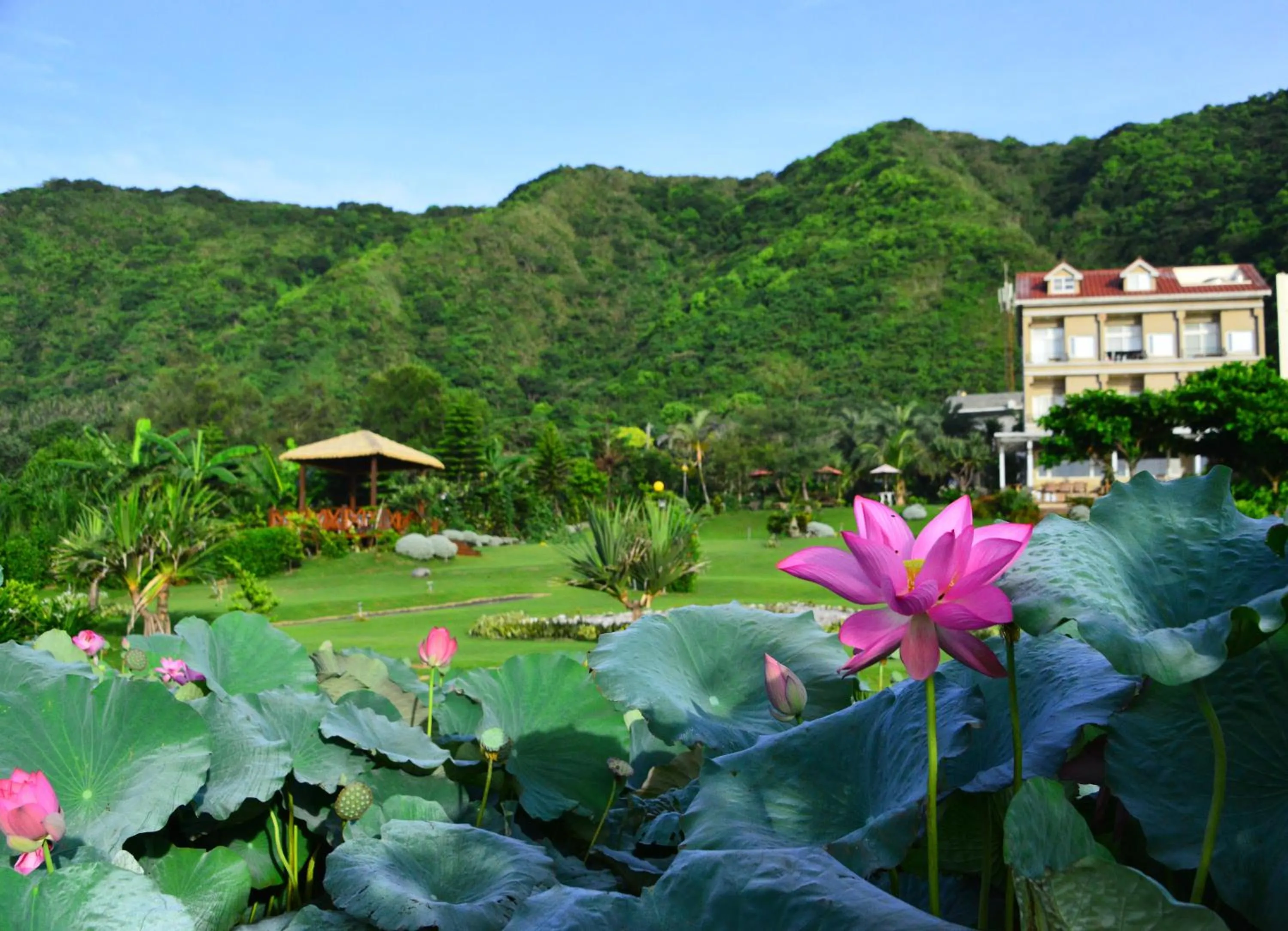 Garden view in Hai Yue Homestay