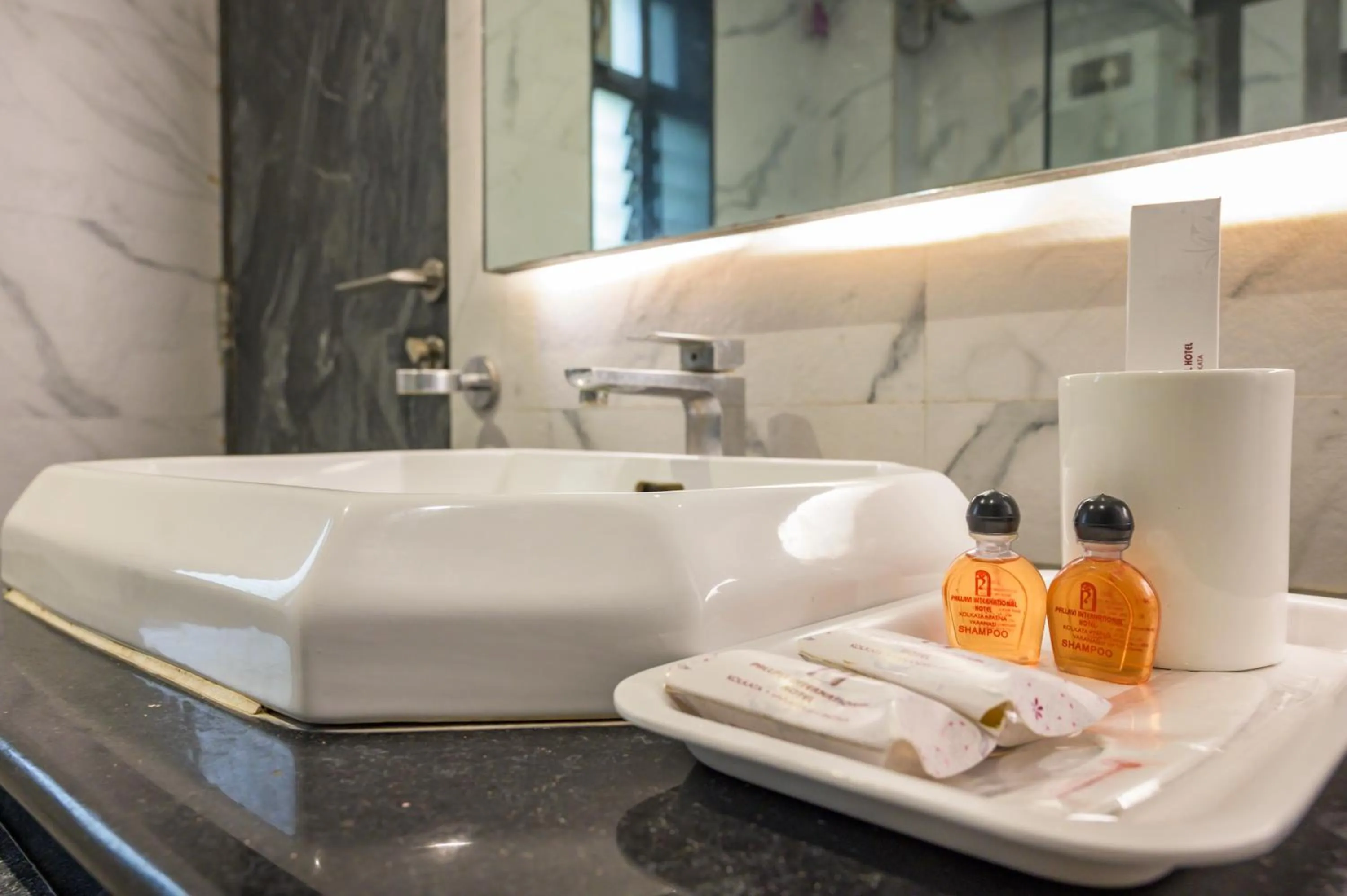 Bathroom in Pallavi International