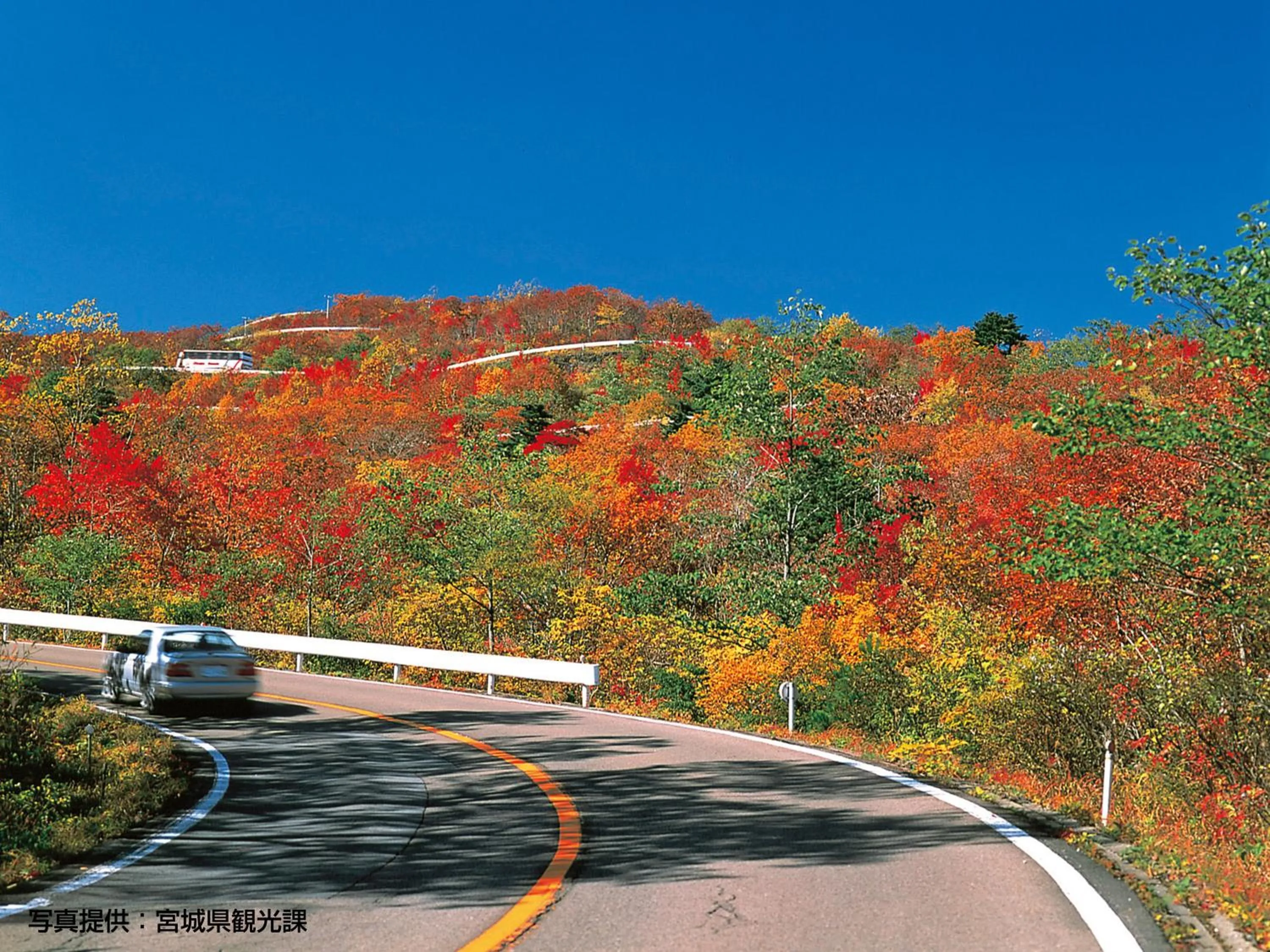 Day in Hotel Green Mark