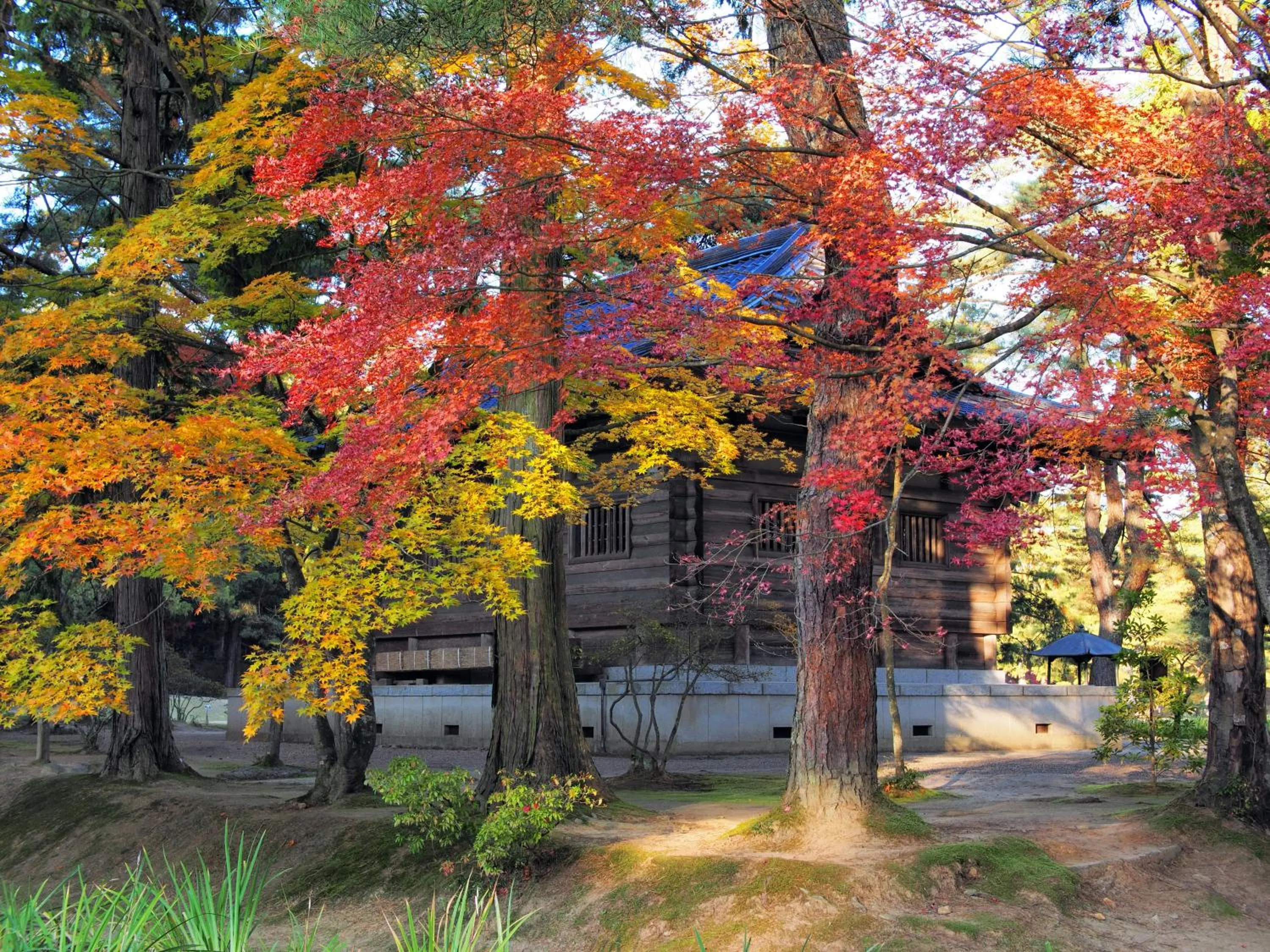 Day in Hotel Green Mark