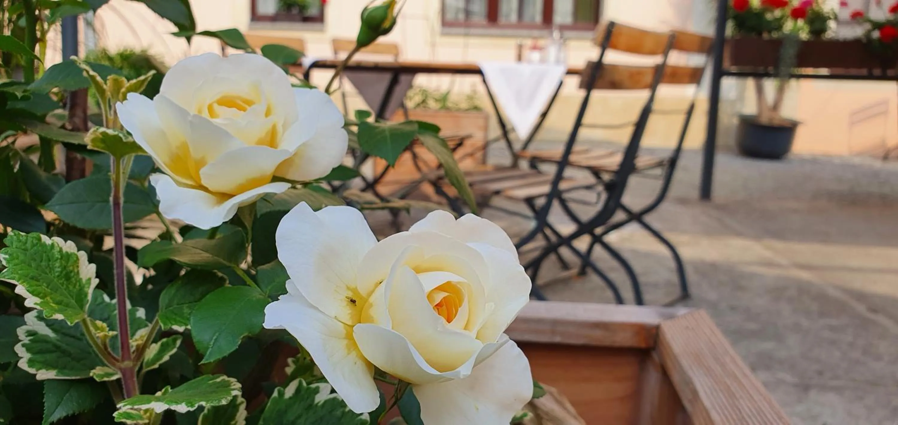 Balcony/Terrace in Hotel "Pension Marlis"