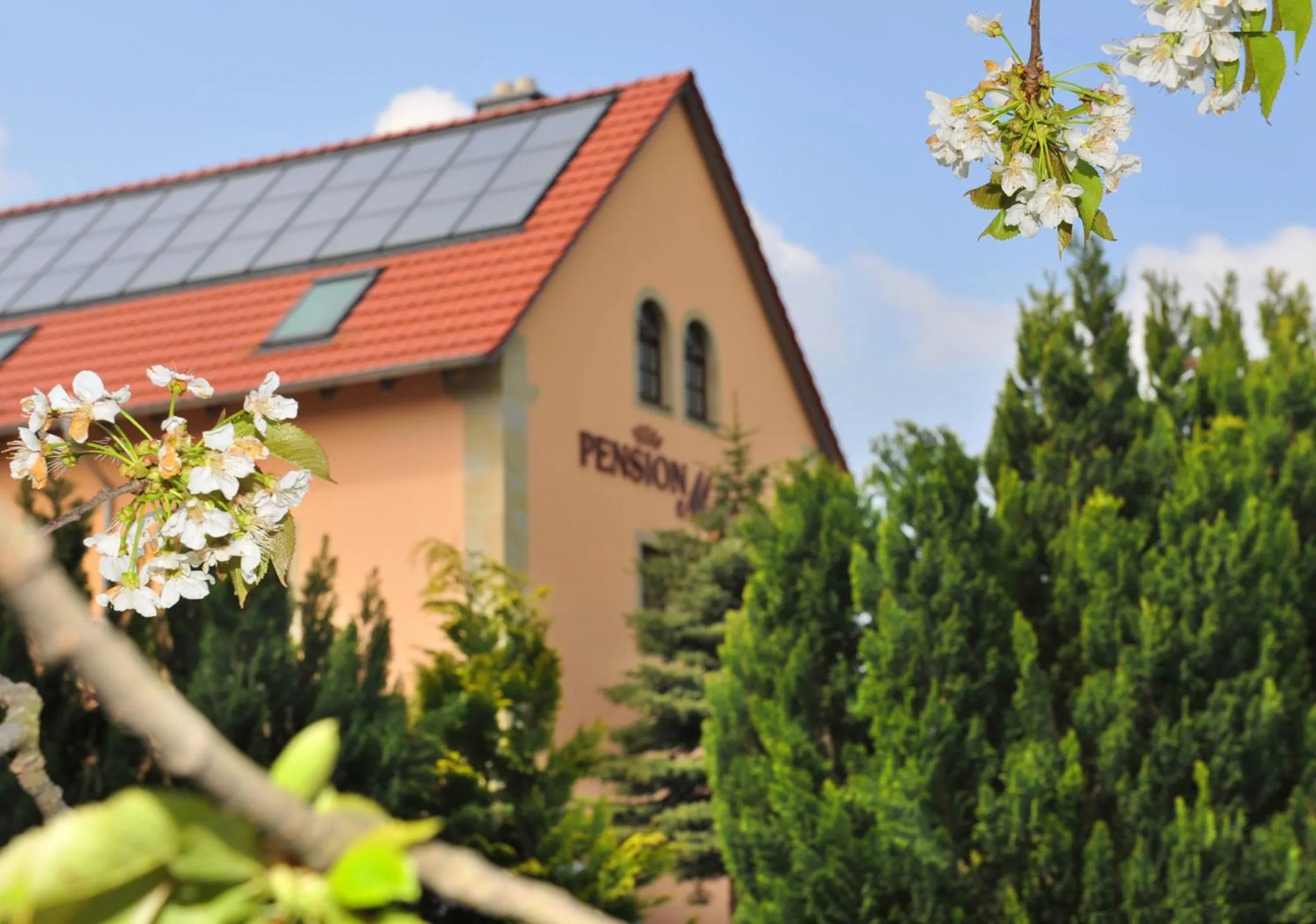 Facade/entrance in Hotel "Pension Marlis"