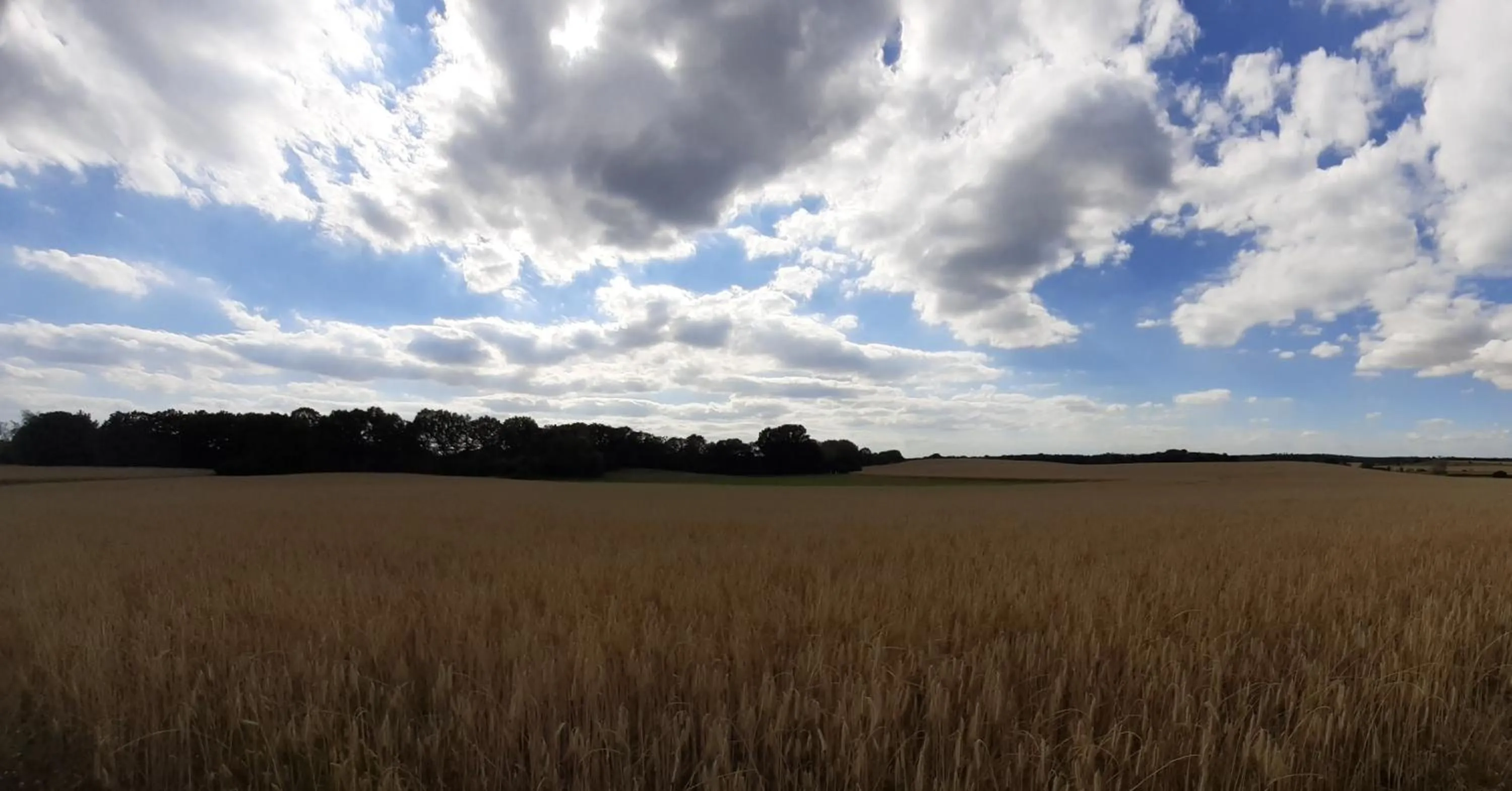 Cycling in Hotel "Pension Marlis"