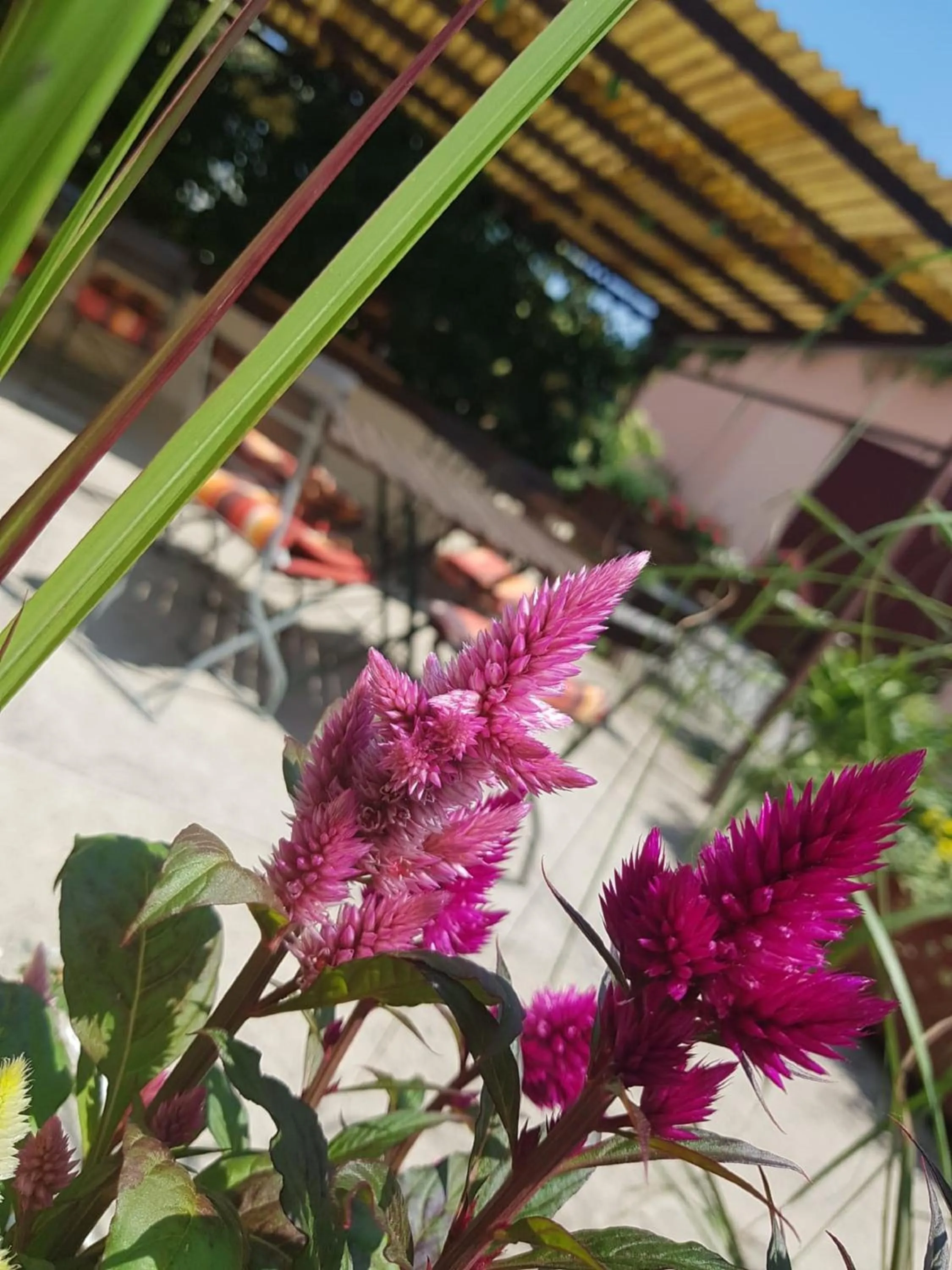 Summer in Hotel "Pension Marlis"