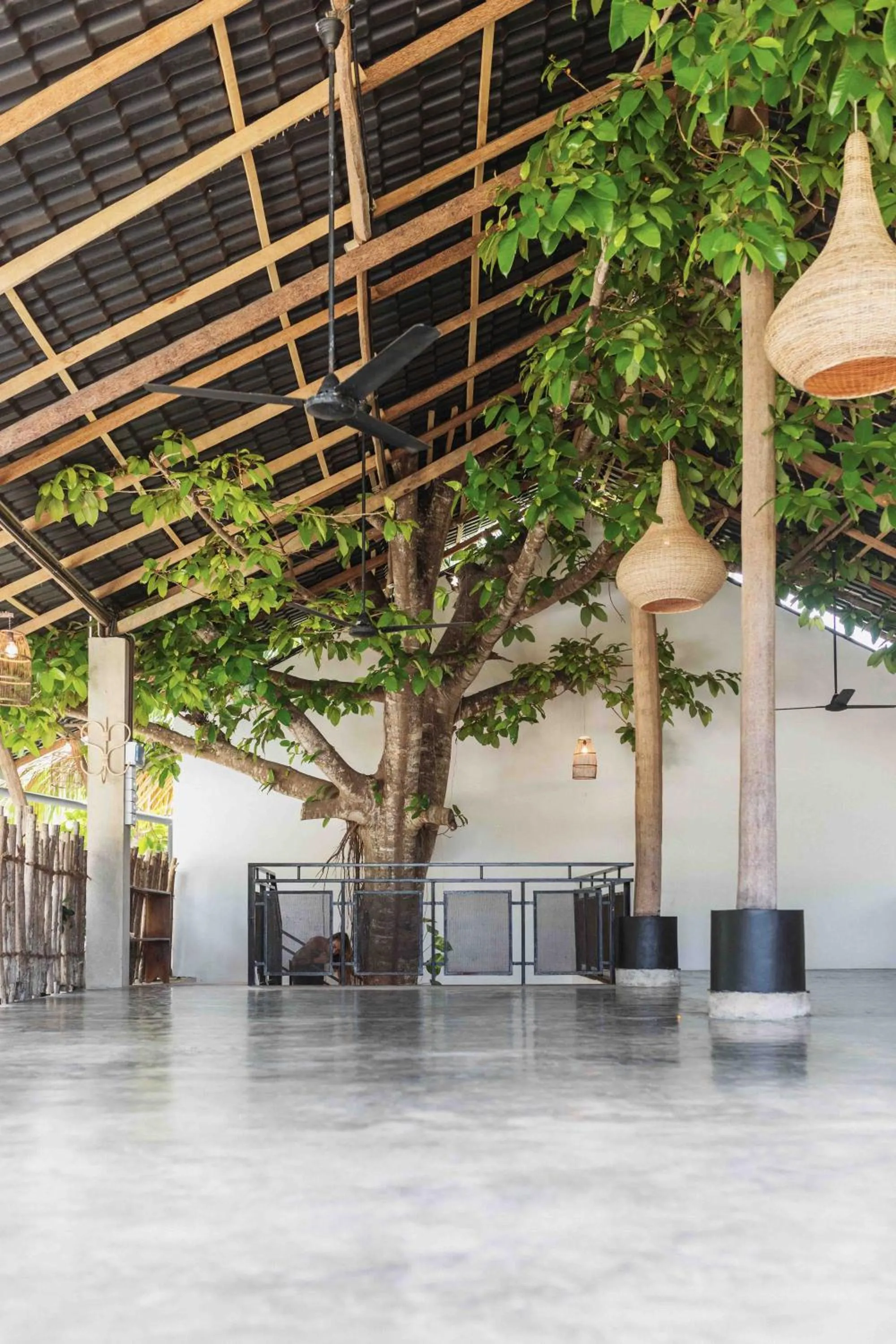 Patio in The Nuga House