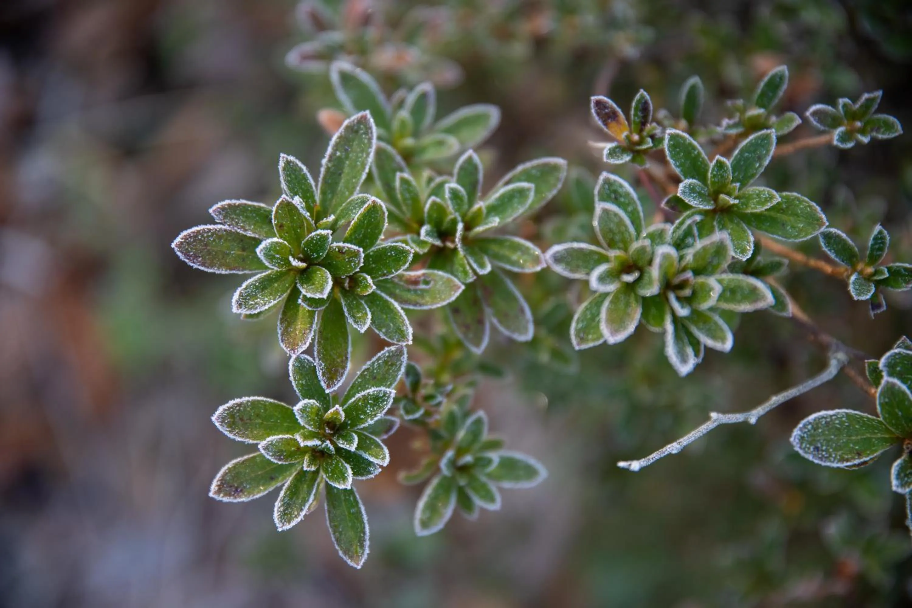 Natural landscape in Kyousen