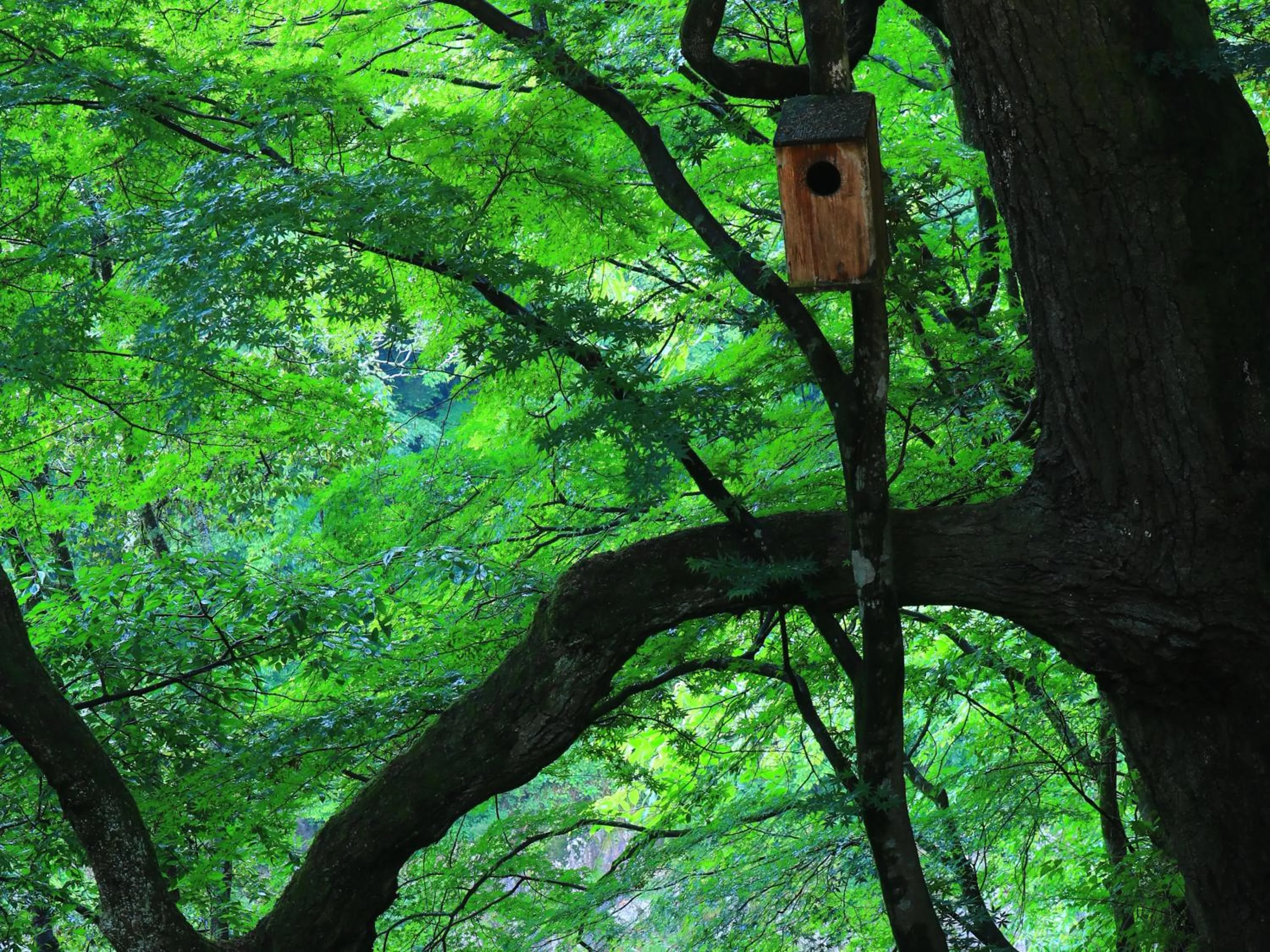 Area and facilities in Kyousen