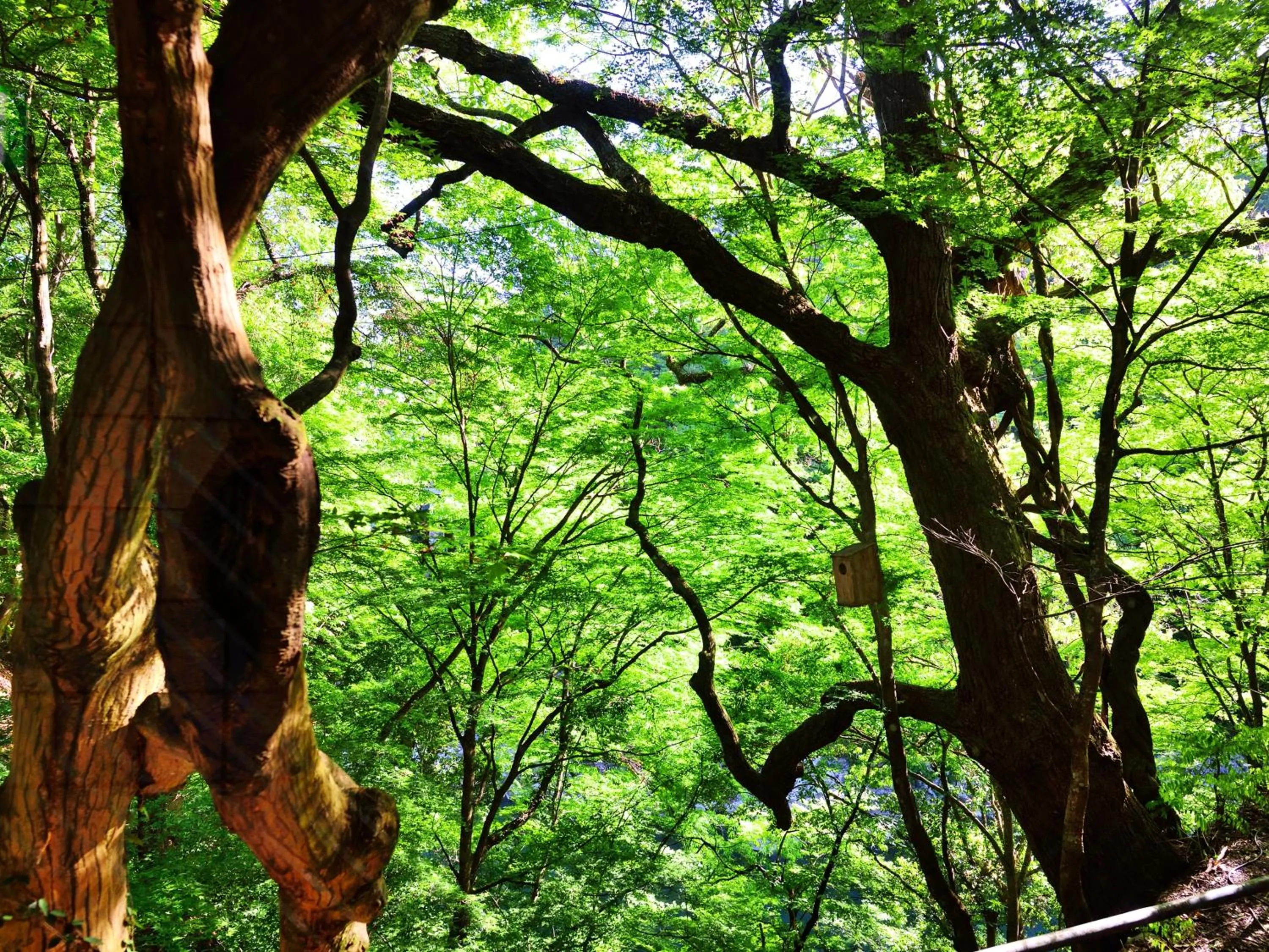 Natural landscape in Kyousen
