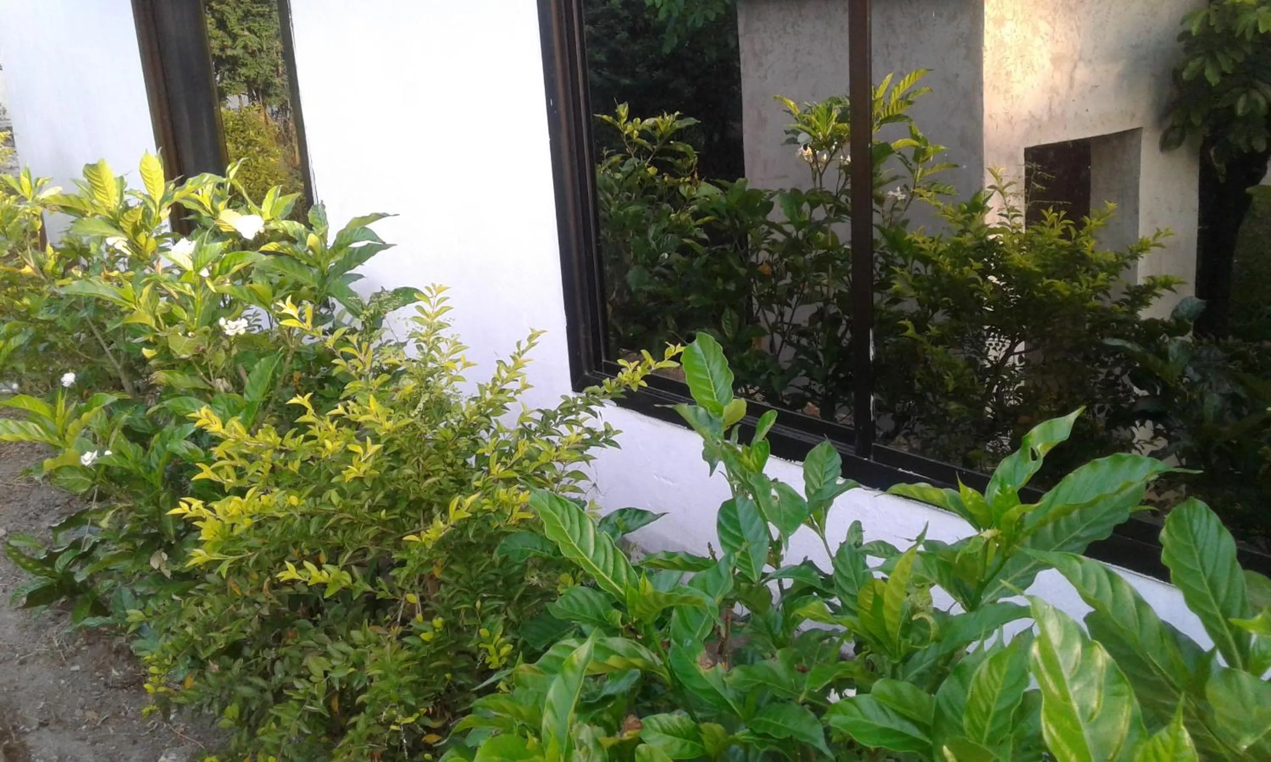 Property building in JJ & JE Family House