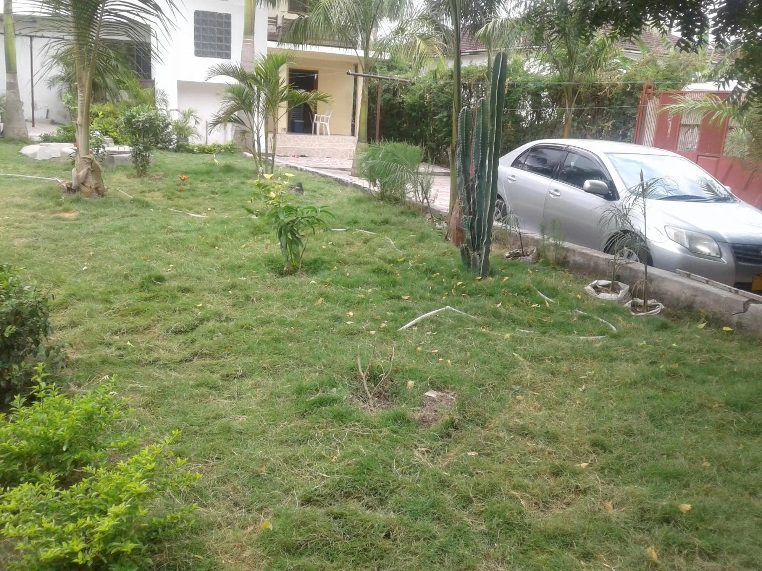 Garden in JJ & JE Family House