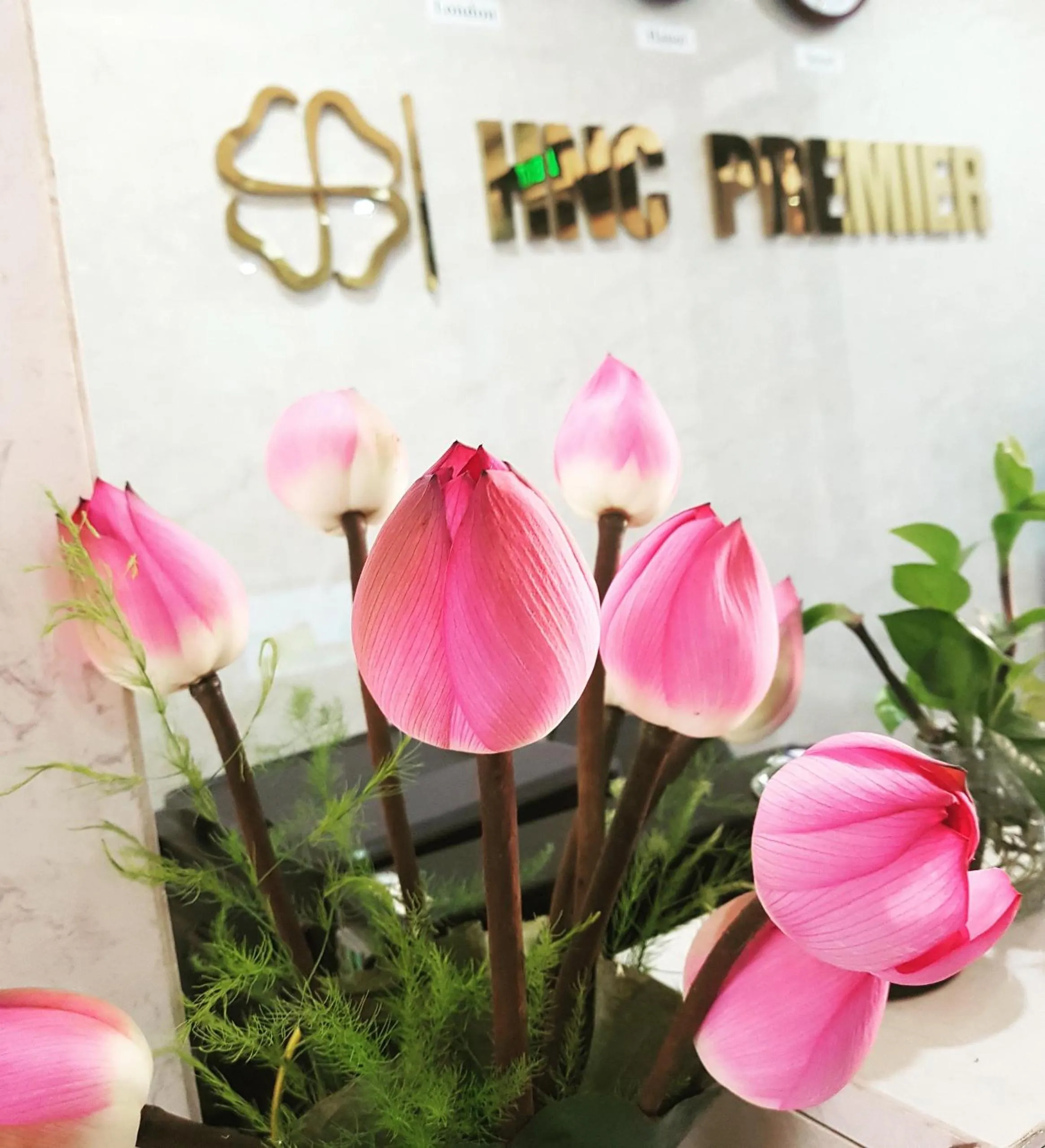 Lobby or reception in Ficus Suites