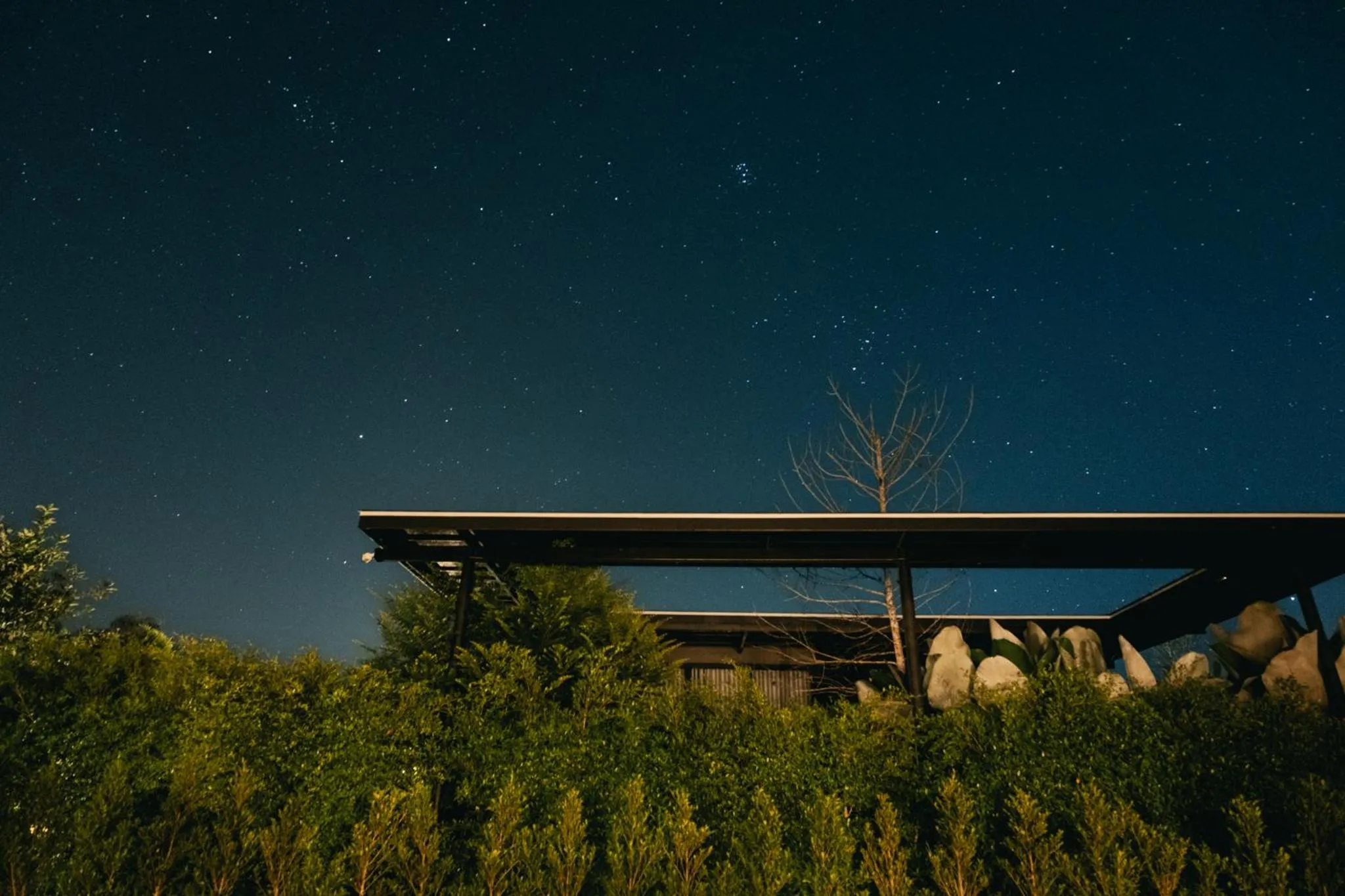 Night in The CAMPIAN