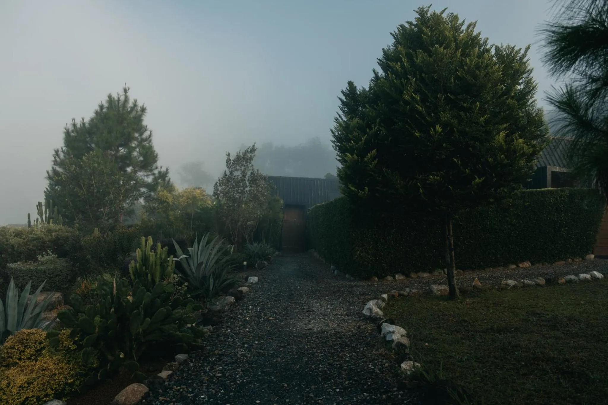 Garden in The CAMPIAN