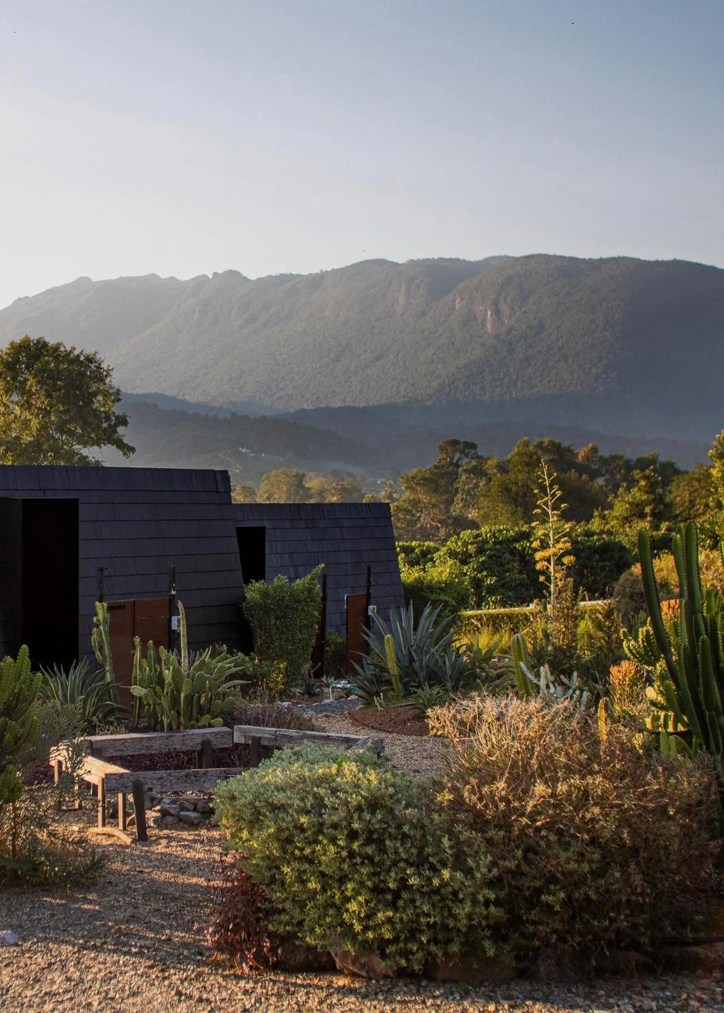 Garden in The CAMPIAN