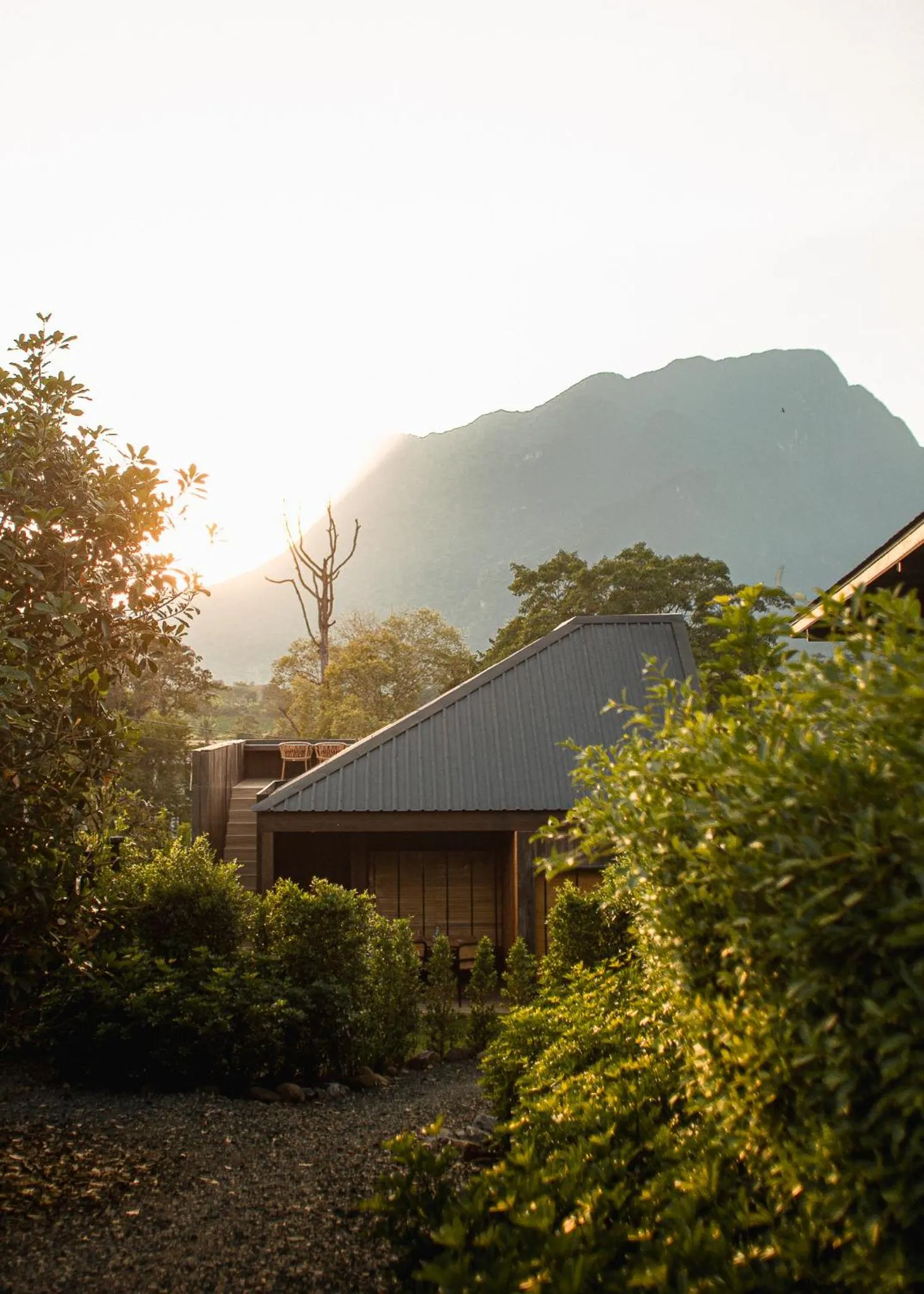 Garden in The CAMPIAN