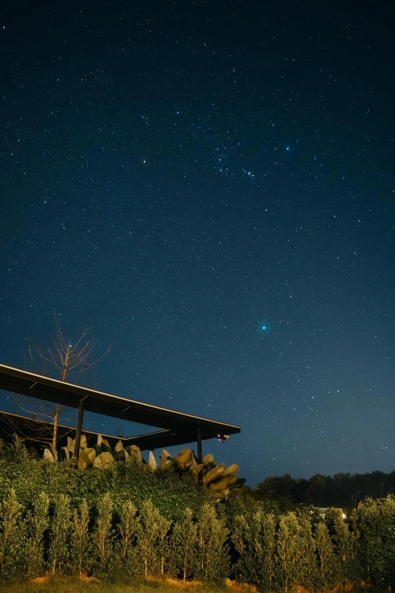 Night in The CAMPIAN