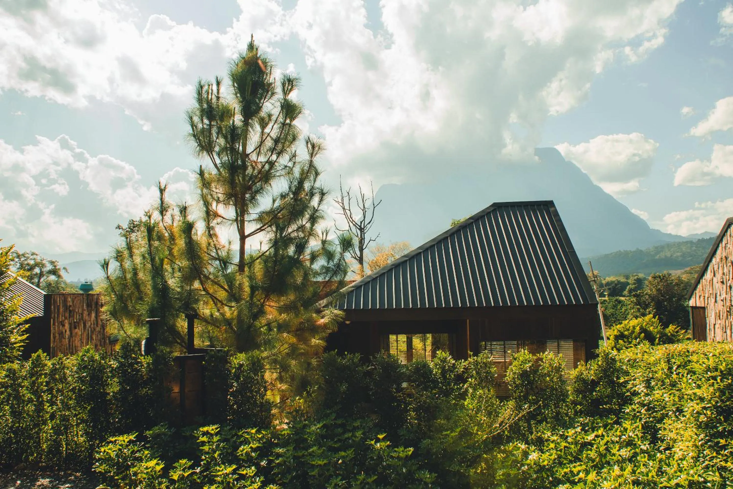 Property building in The CAMPIAN