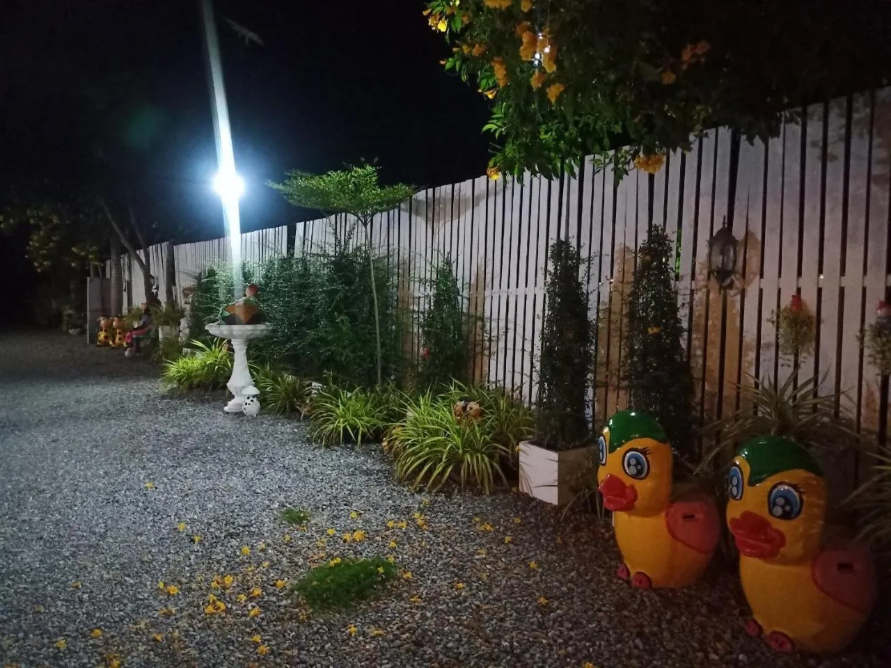 Night in Saan Rak Resort