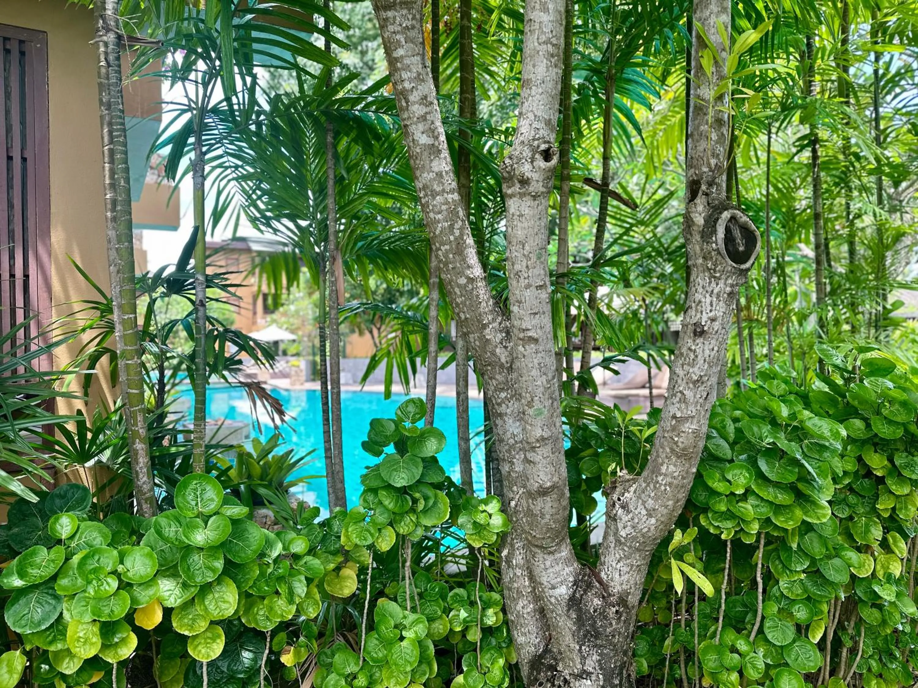 Area and facilities in Deva Beach Resort Samui