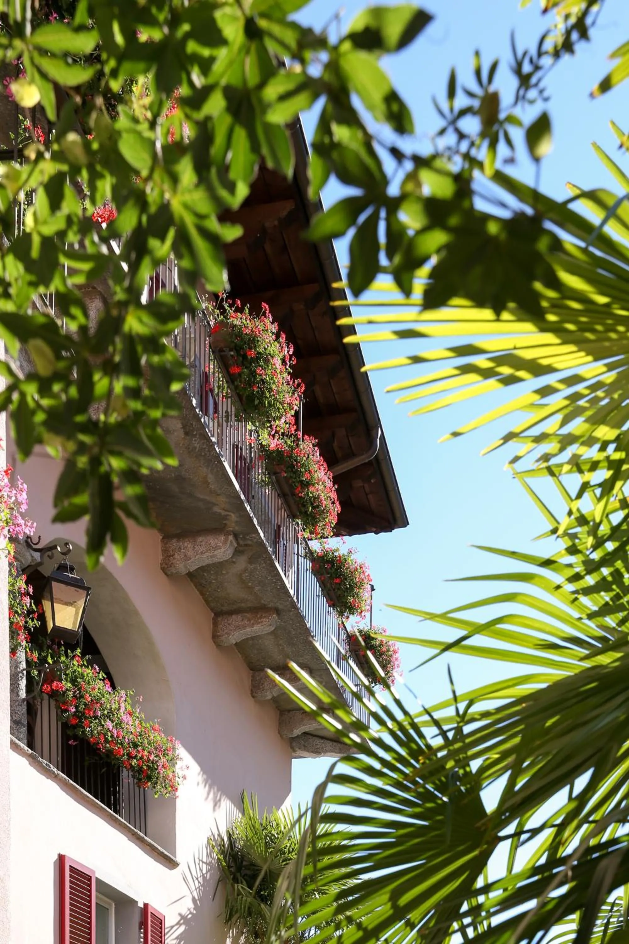 Property building in Hotel Antico