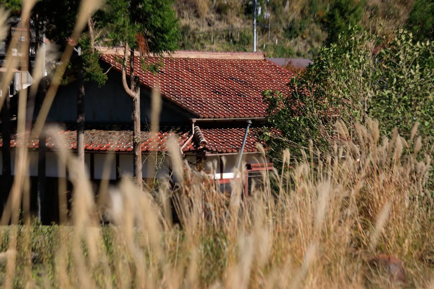 Property building in The Lodge MIWA