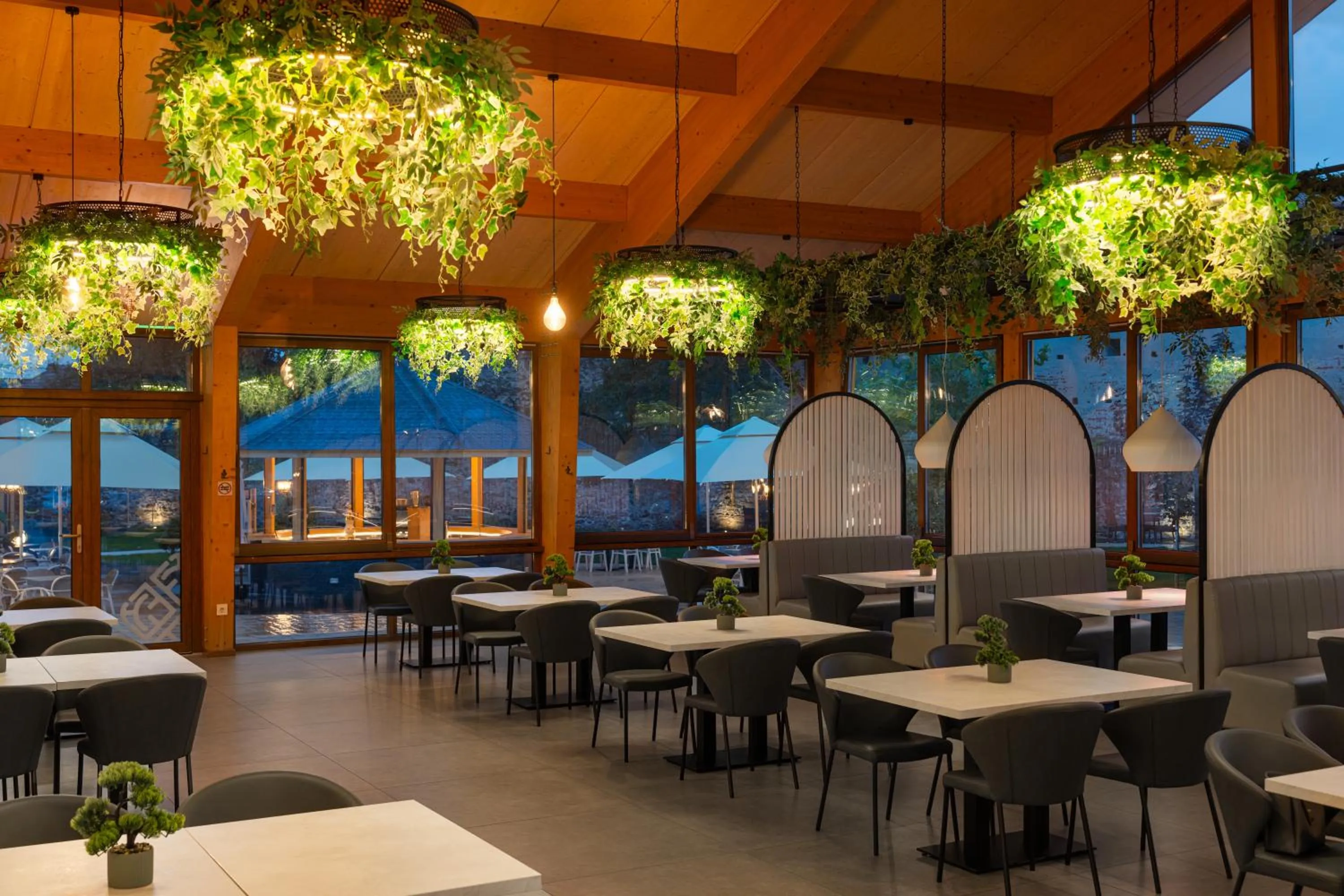 Restaurant/places to eat in Hotel Leul de Aur