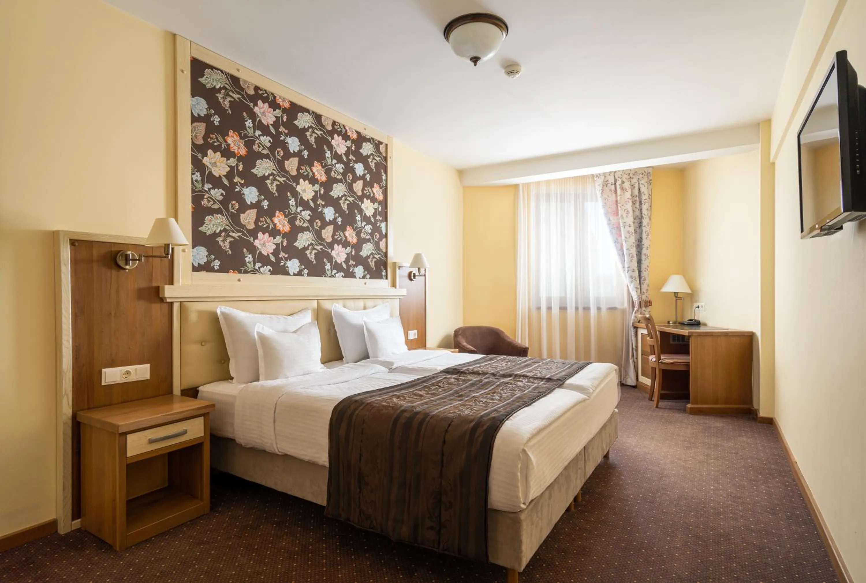 Shower, Bed in Hotel Leul de Aur