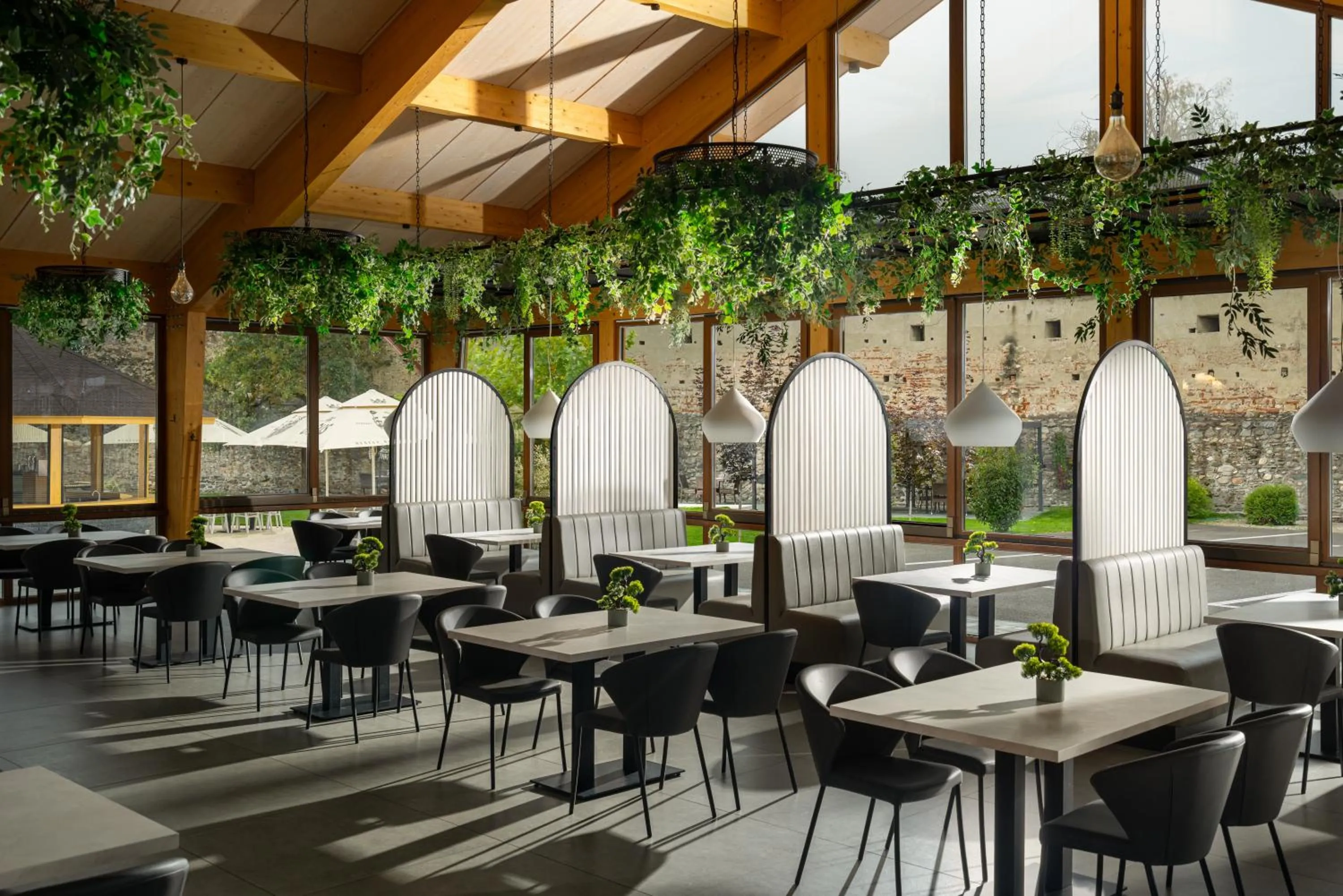 Restaurant/places to eat in Hotel Leul de Aur