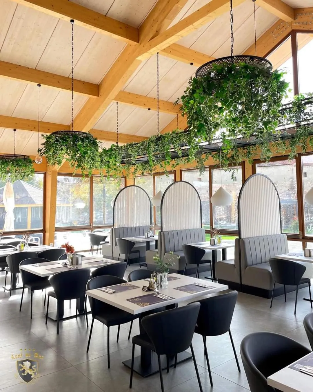 Restaurant/places to eat in Hotel Leul de Aur