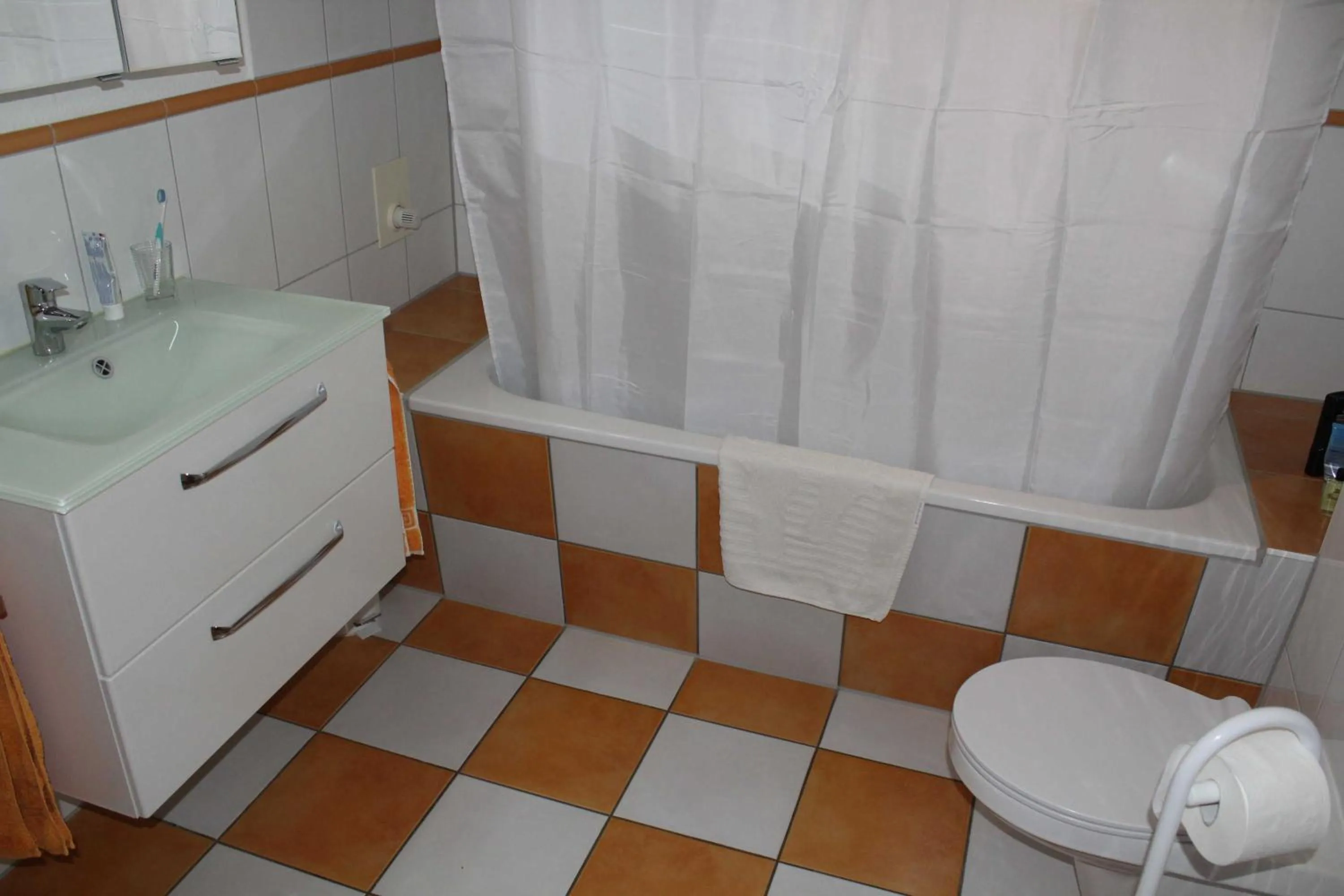 Toilet in Ferienwohnung Schwanenwiek