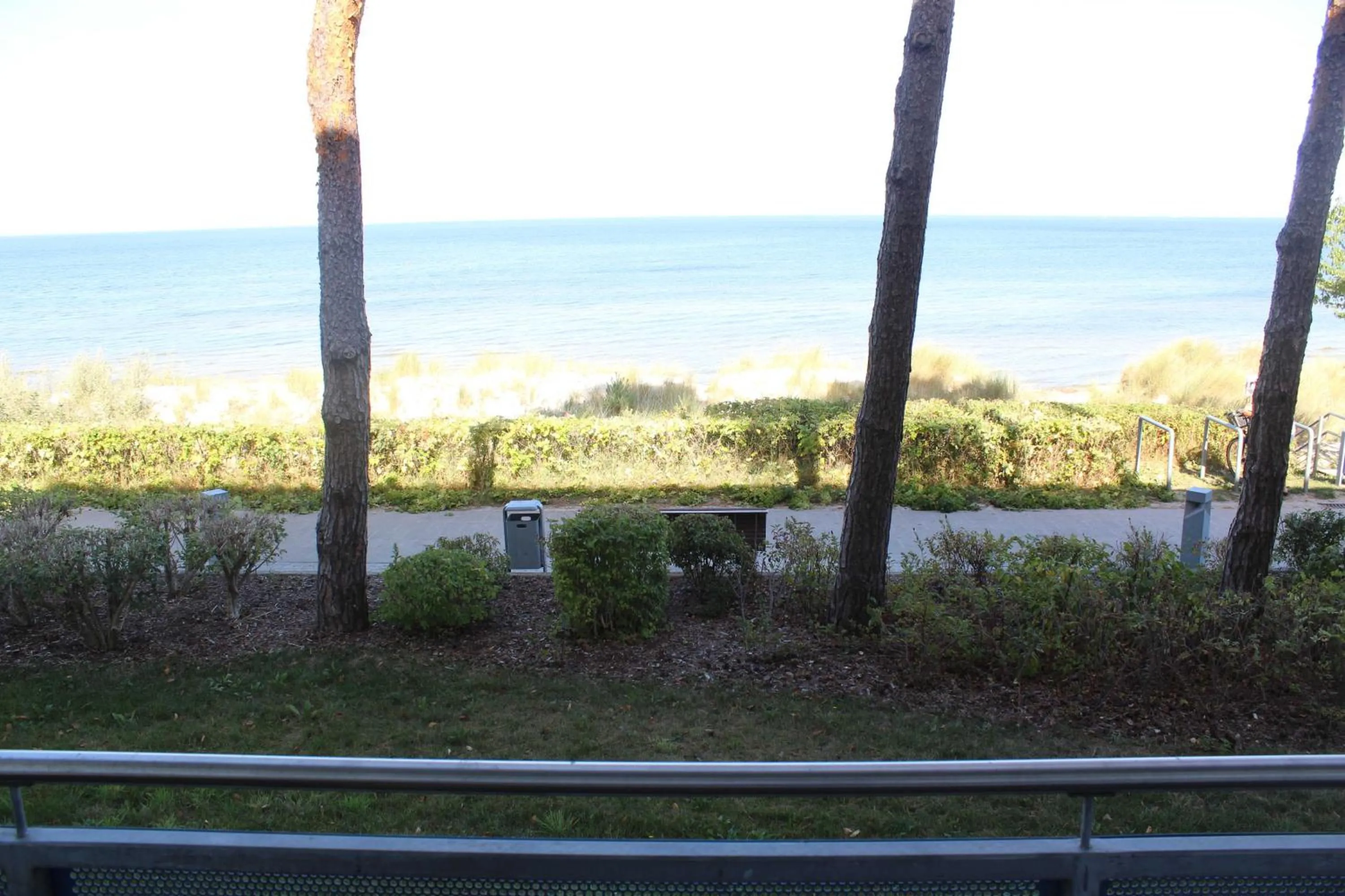 View (from property/room) in Ferienwohnung Schwanenwiek