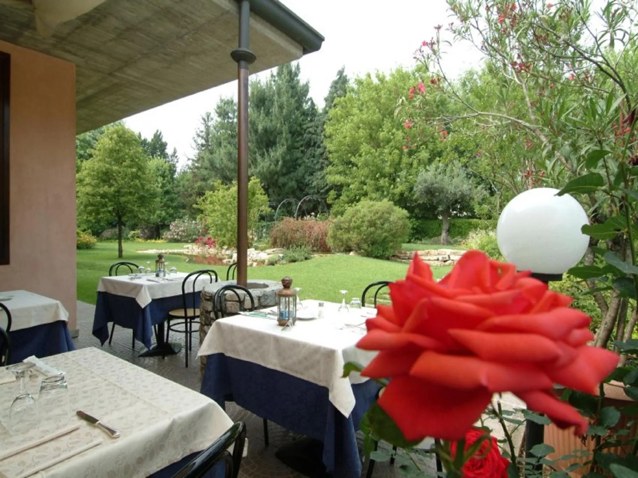 Restaurant/places to eat in Il Leone D'Oro