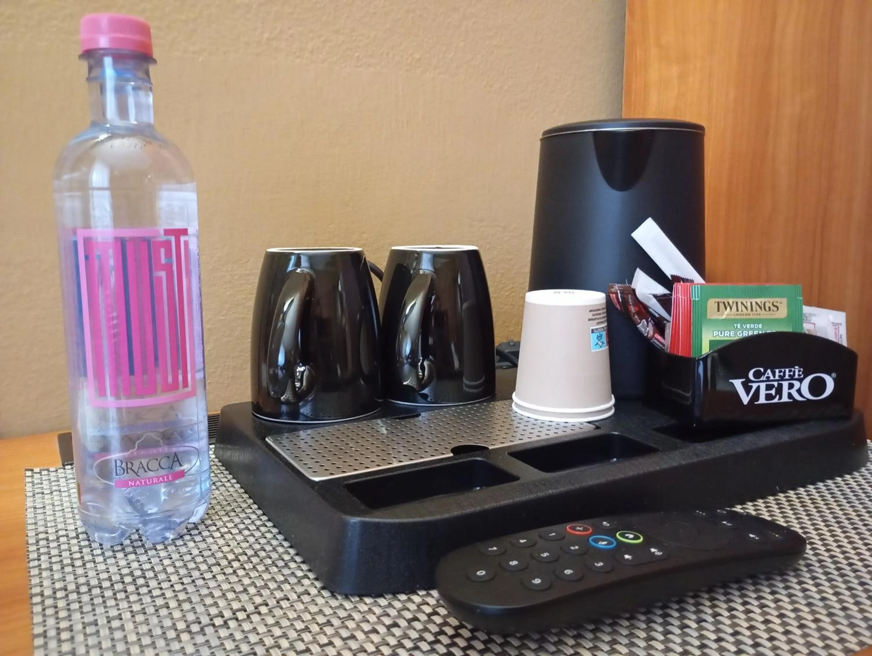 TV and multimedia in Il Leone D'Oro