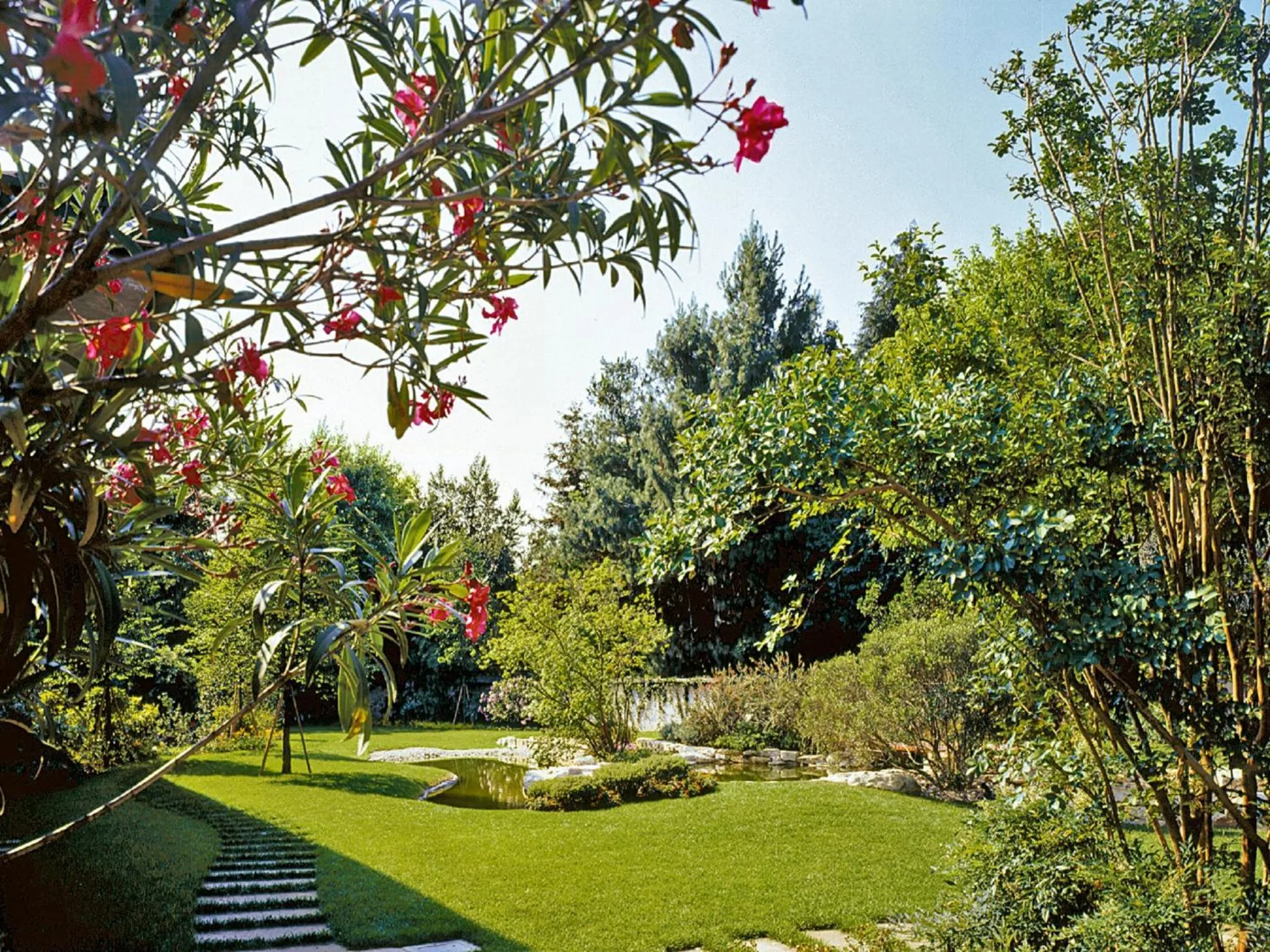 Garden in Il Leone D'Oro