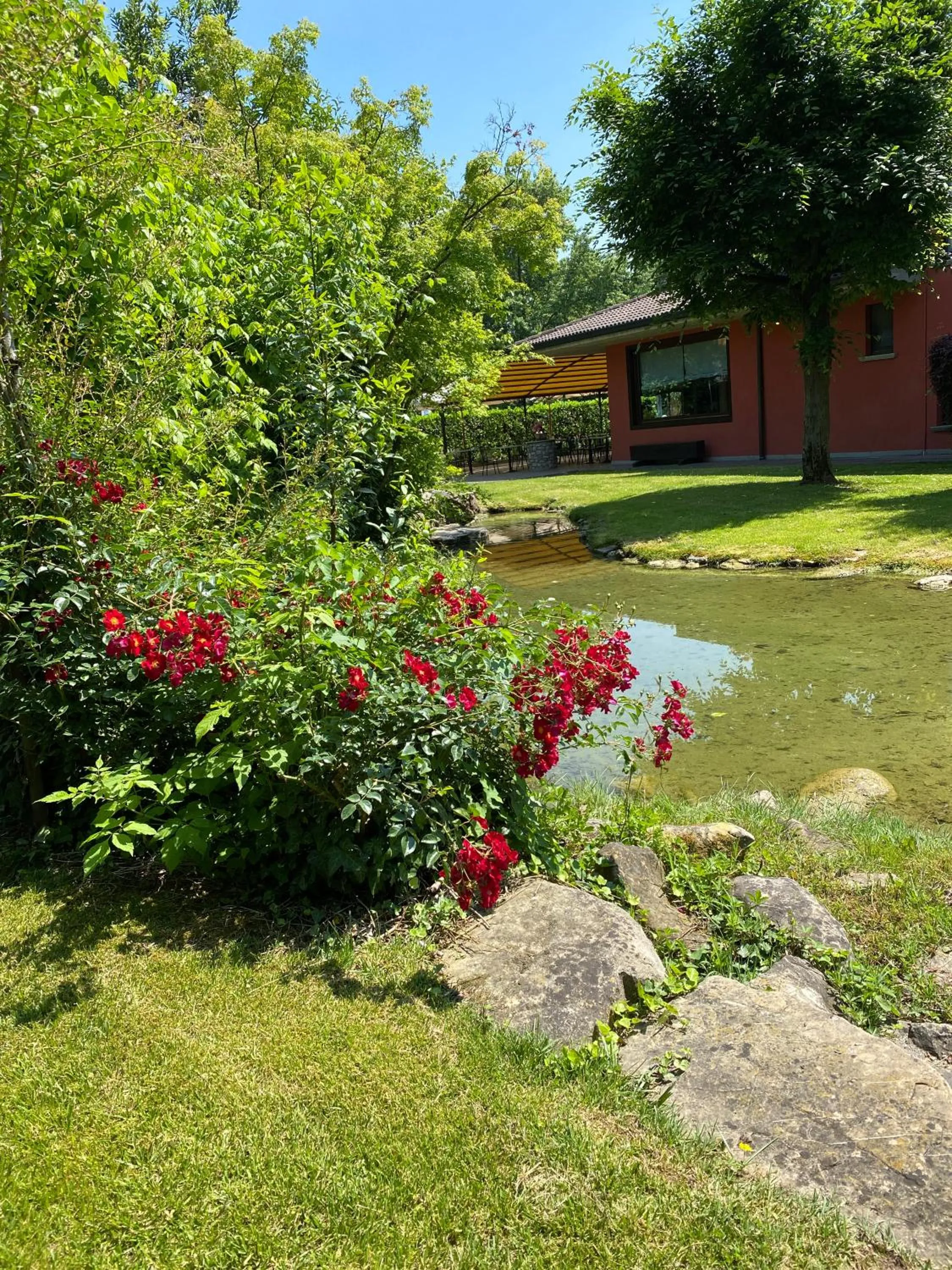 Garden in Il Leone D'Oro