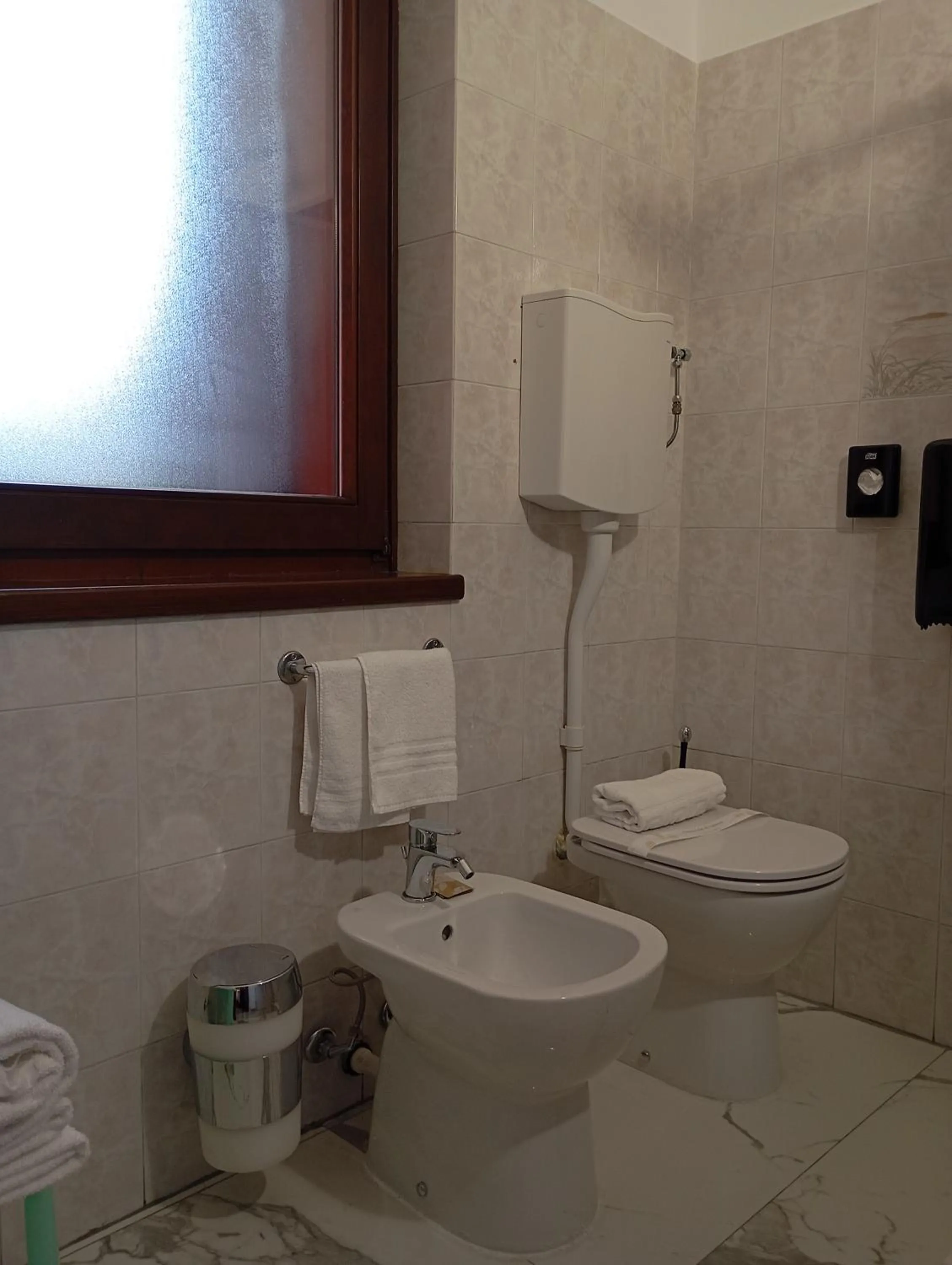 Toilet in Il Leone D'Oro