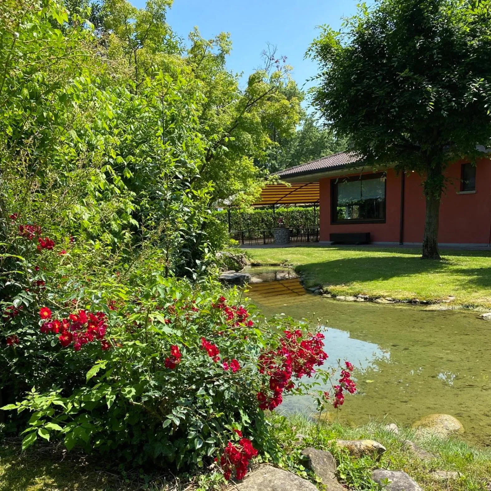 Garden in Il Leone D'Oro