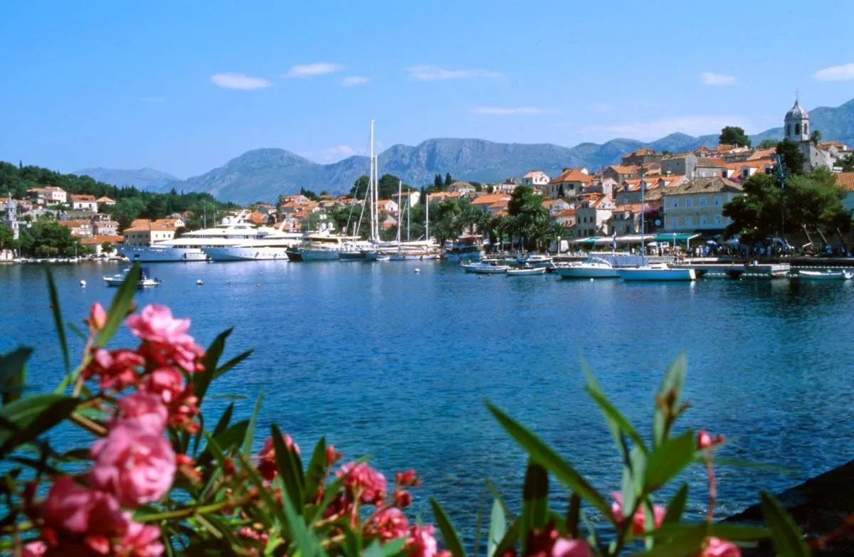 Nearby landmark in Apartments Marnic