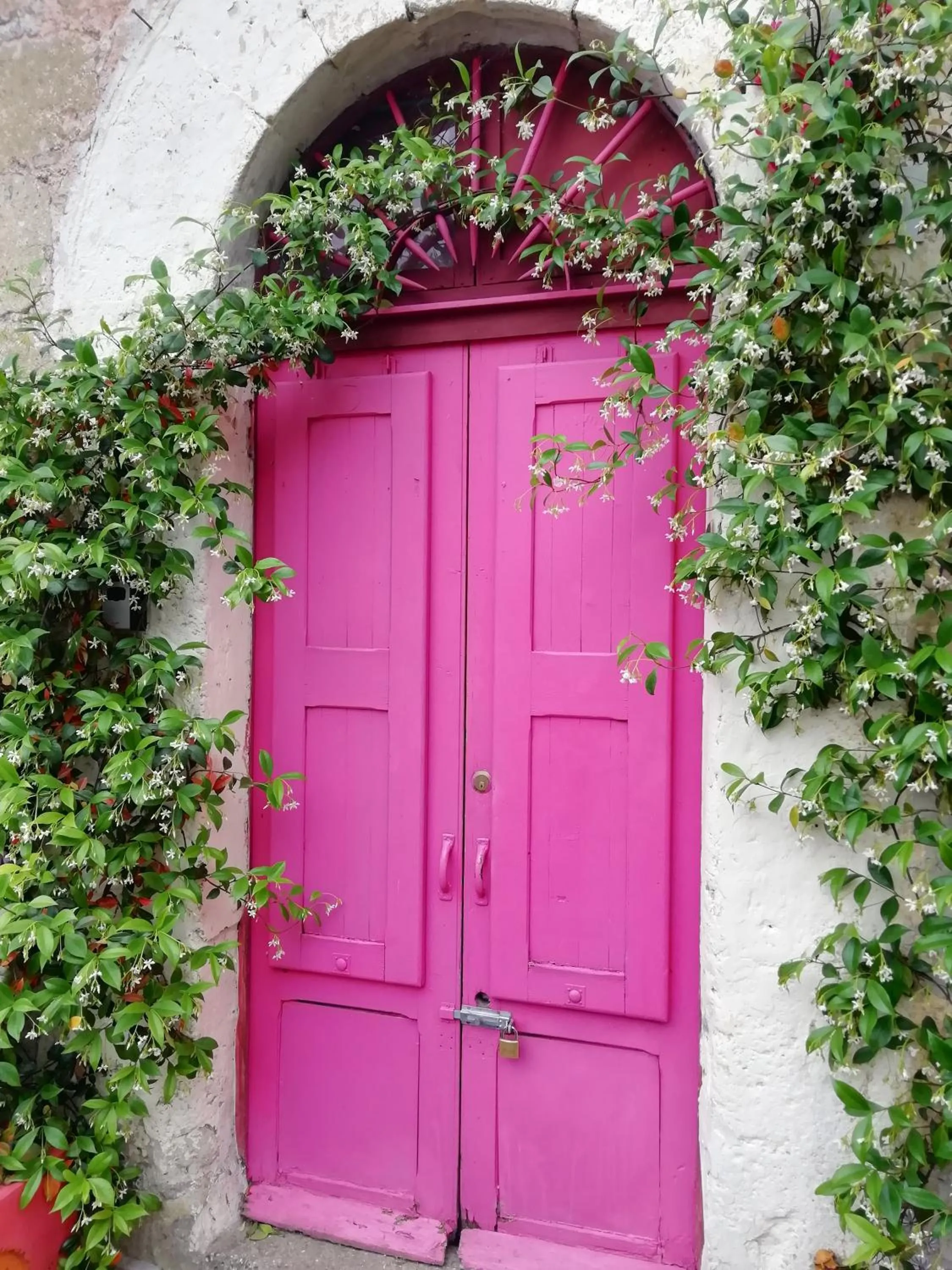 Suite d'Artista Calcata