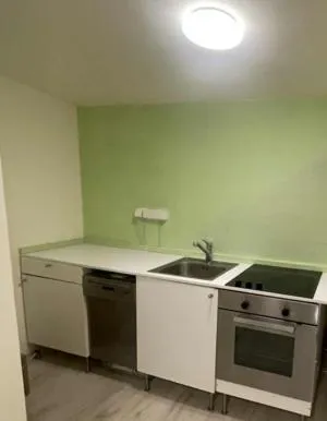 stove in ROSSLWIRT-Rast