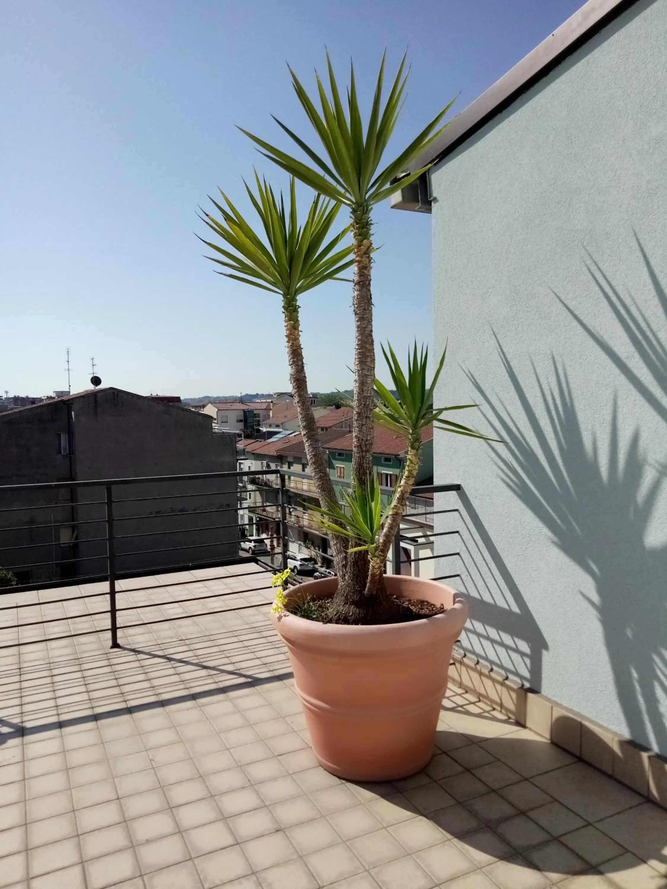 Balcony/Terrace in Hotel Chiaraluna